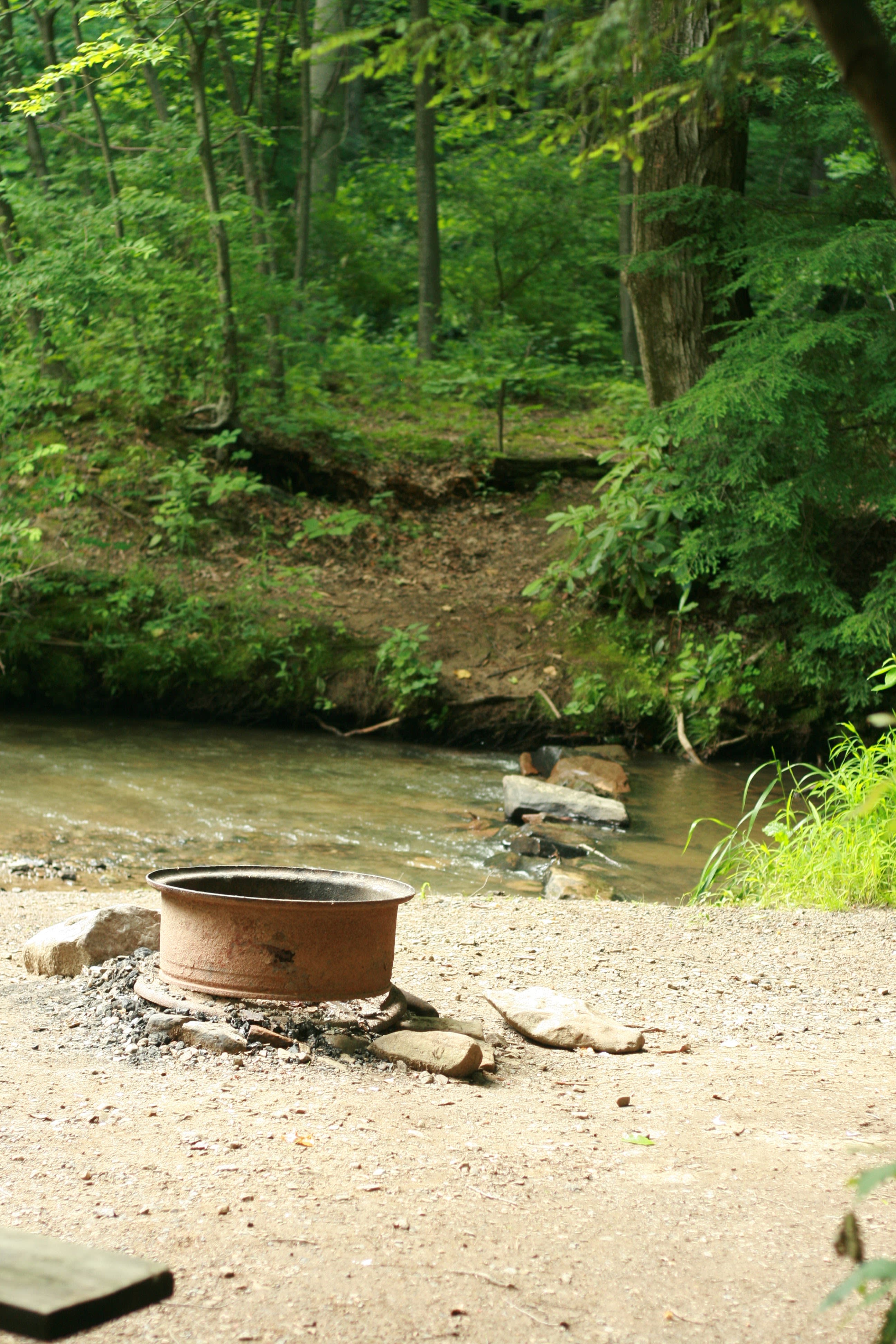 Yellow Creek State Park