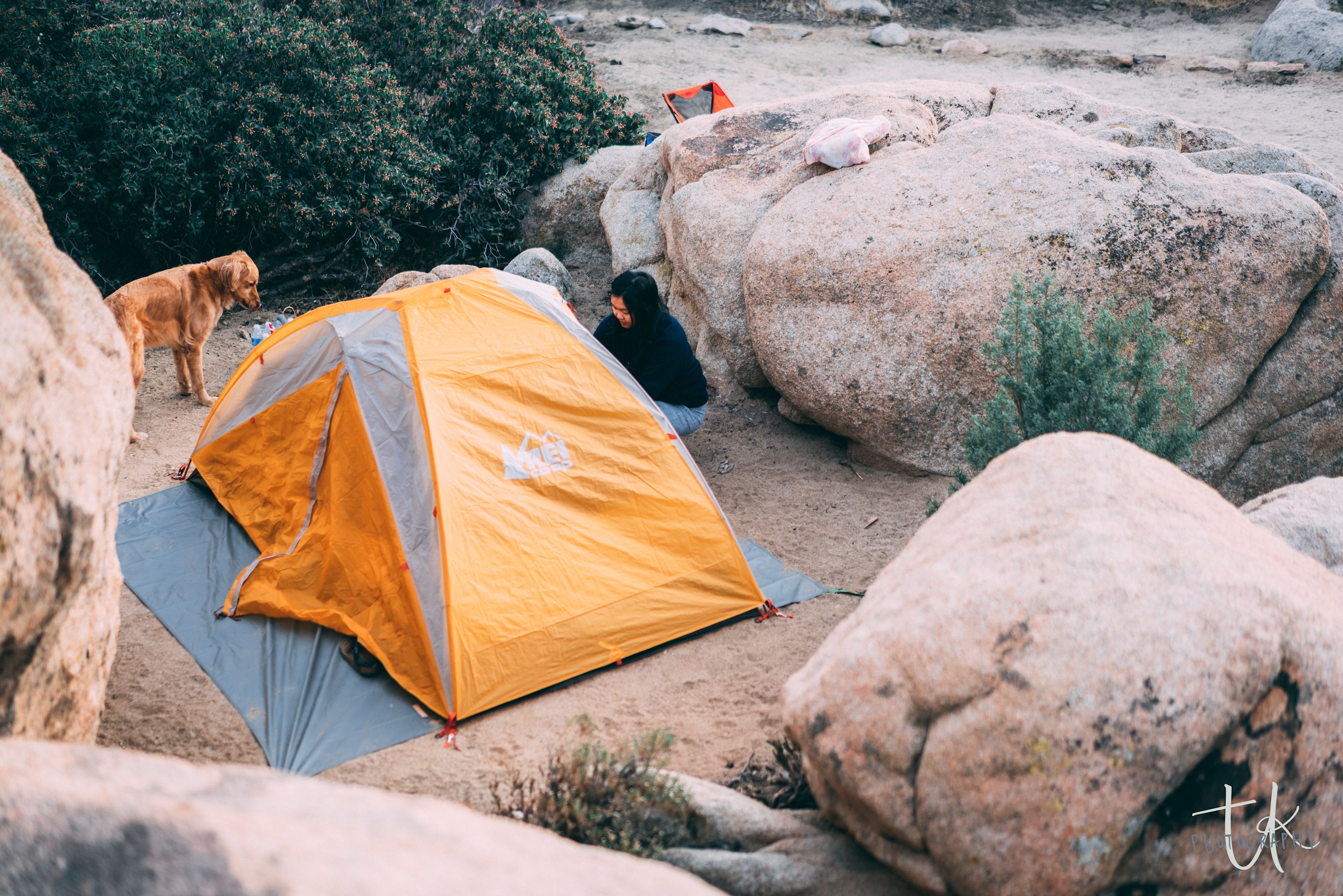 Second campsite from the airbnb house has perfect wind coverage for a small tent!