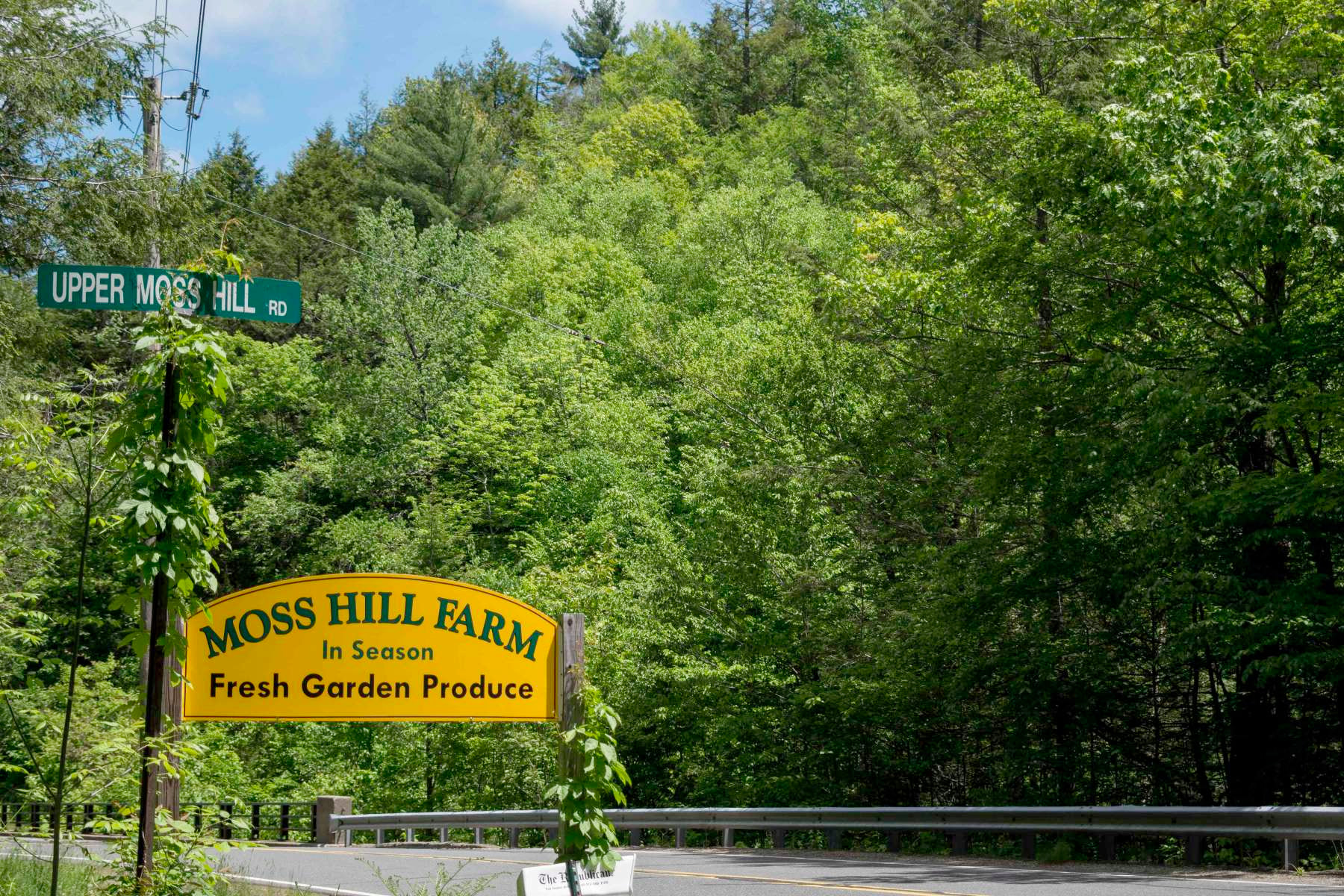 Roadside signs will lead you right to your destination.
