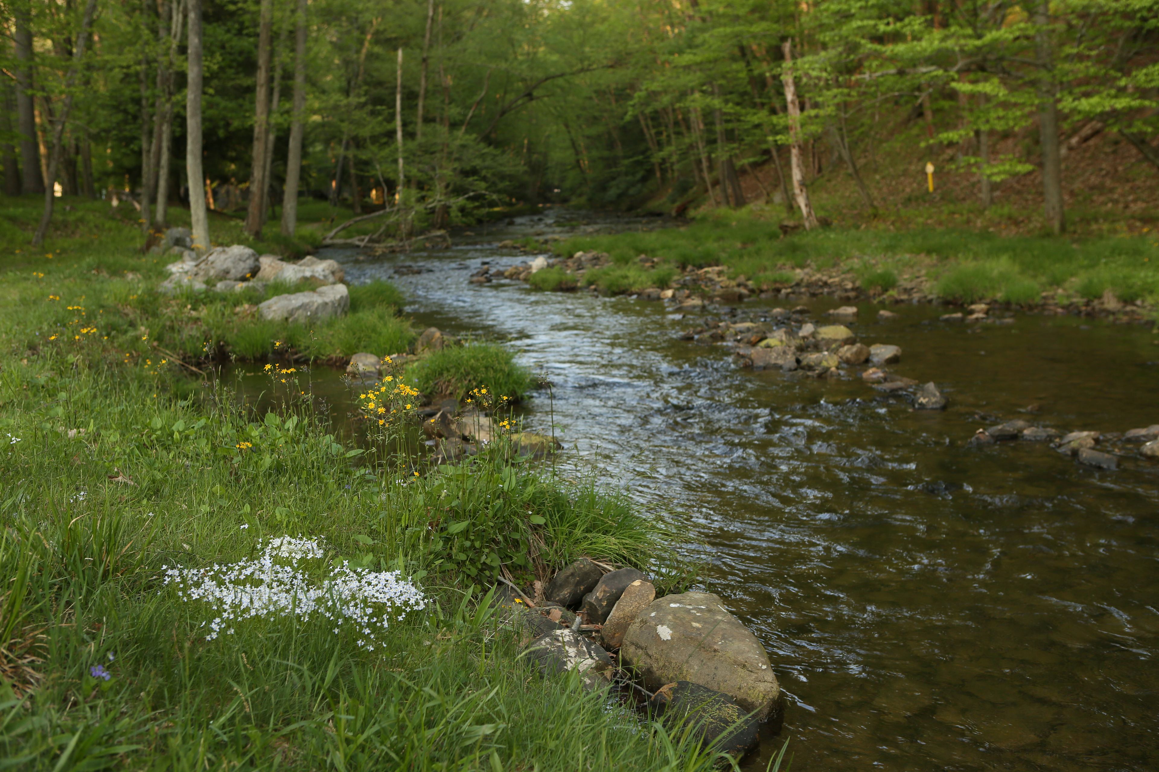 Beautiful trout stream runs right through the middle of the campground and empties into the Clarion River.