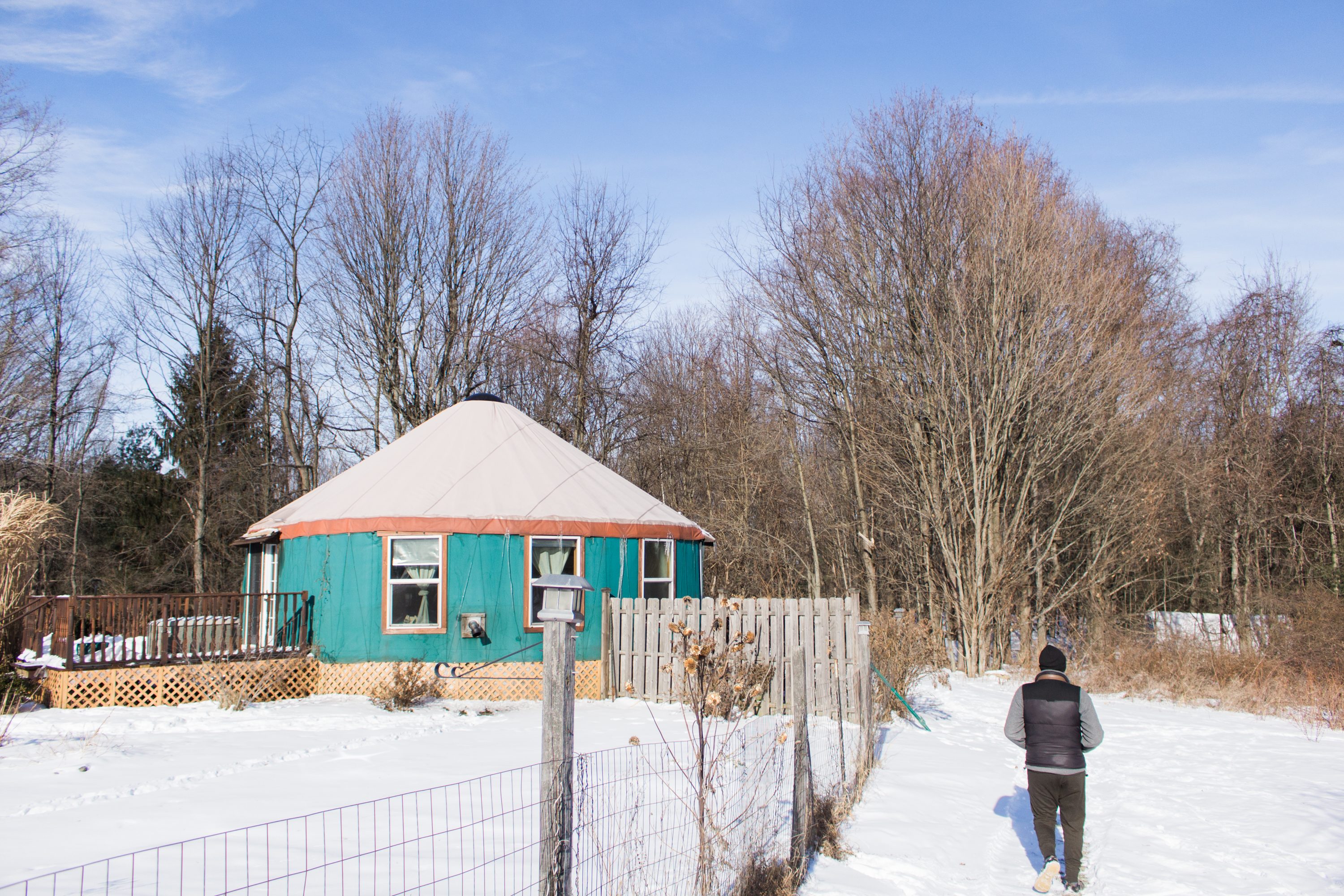 Climbing Vine Yurt