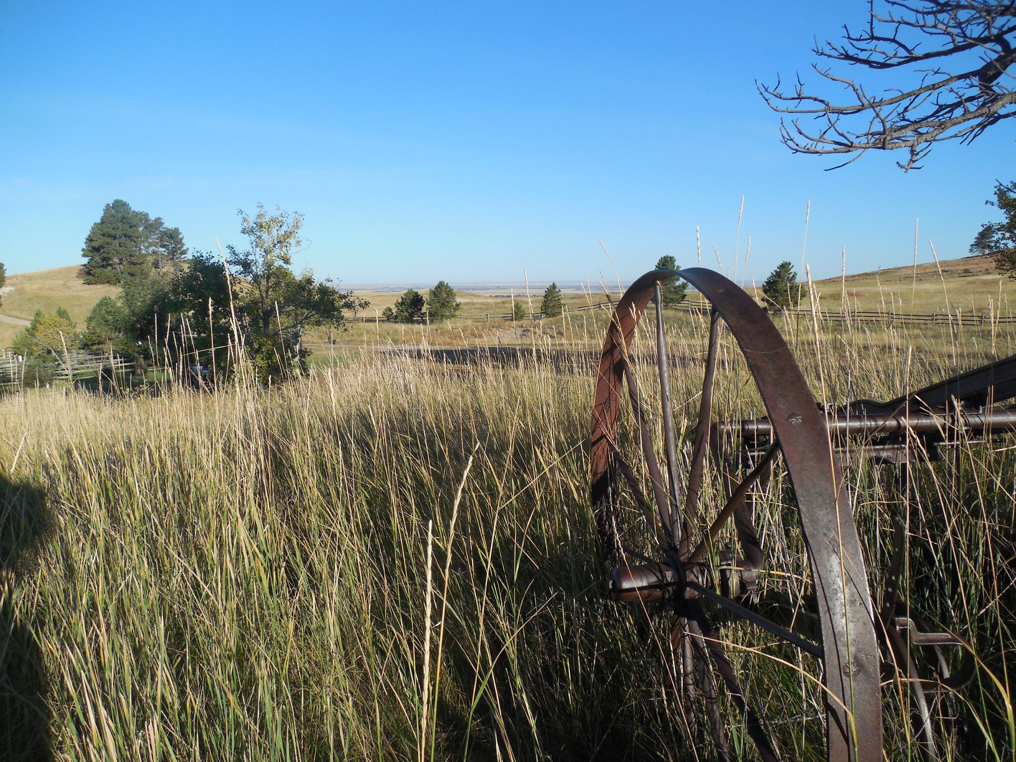 Roberts Tract Camping Area