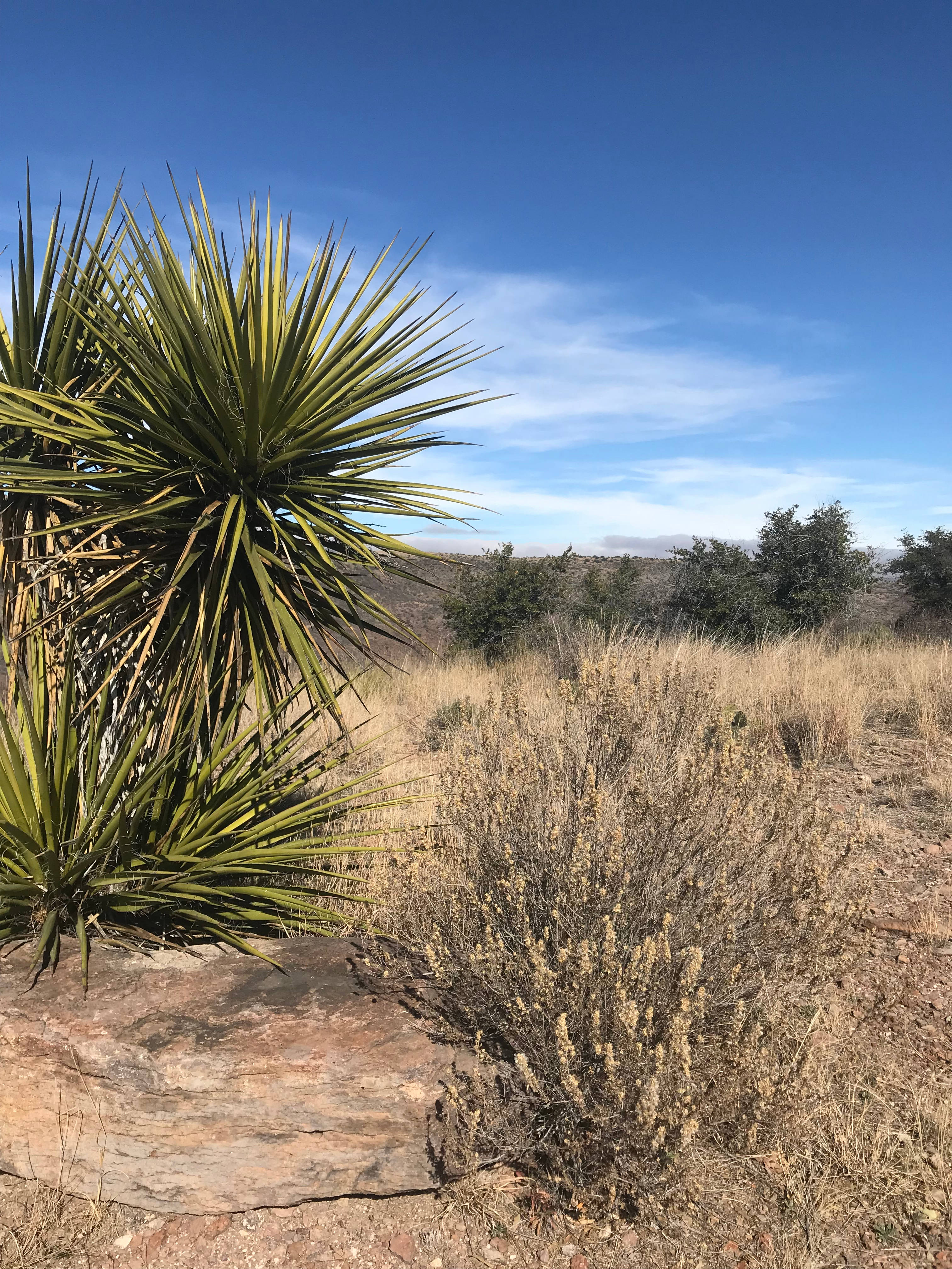 Davis Mountains State Park