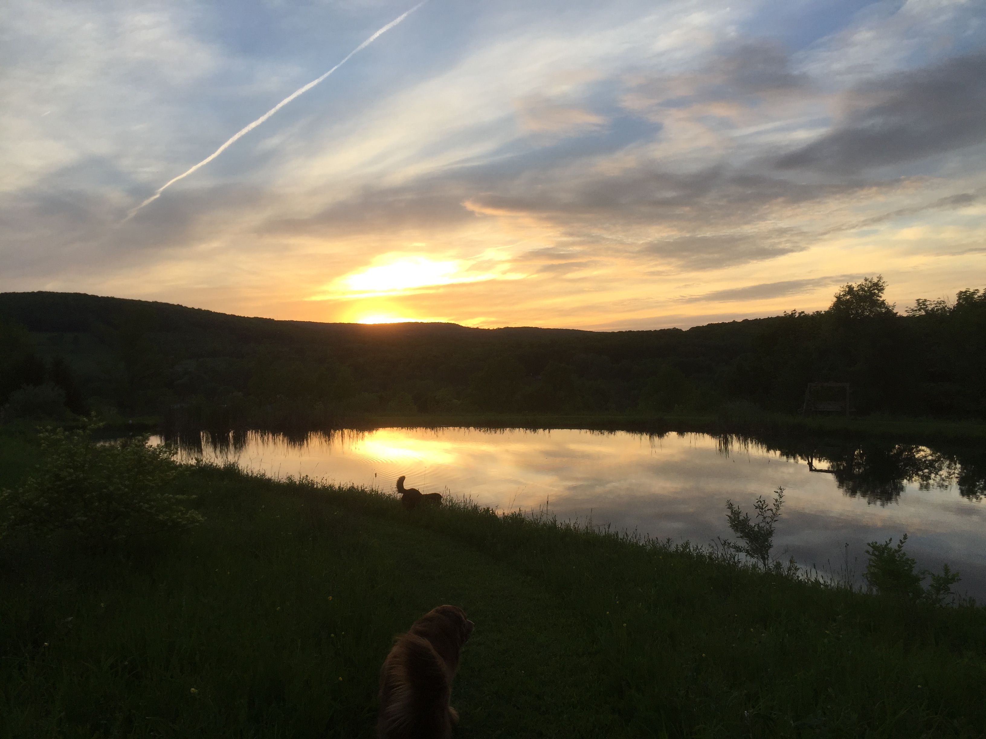 Hillside Pond with a View