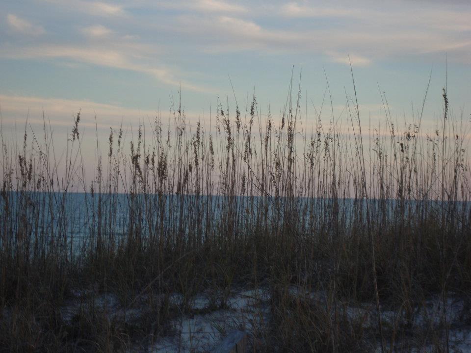 Dr. Julian G. Bruce St. George Island State Park