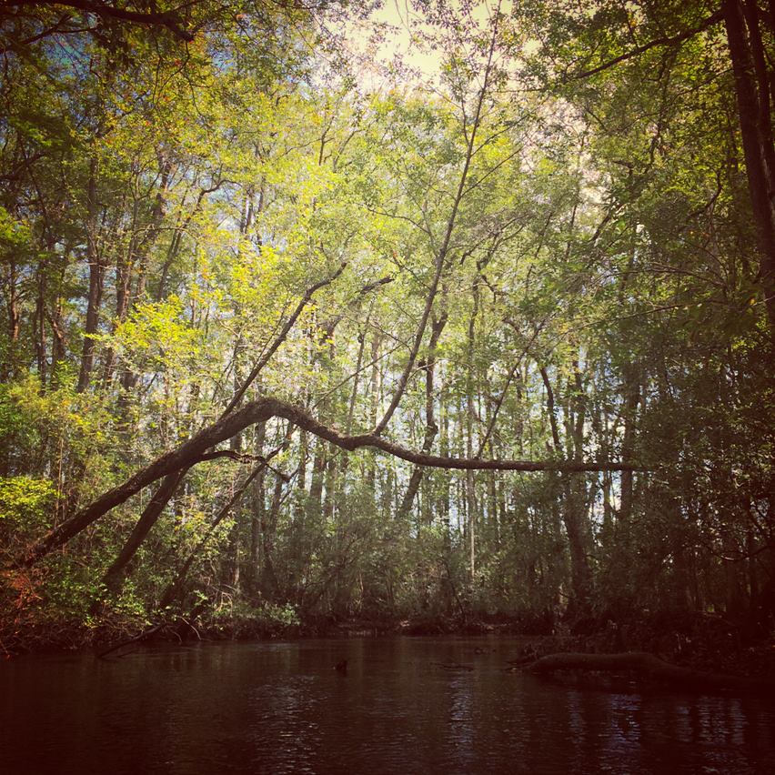 Aiken State Park