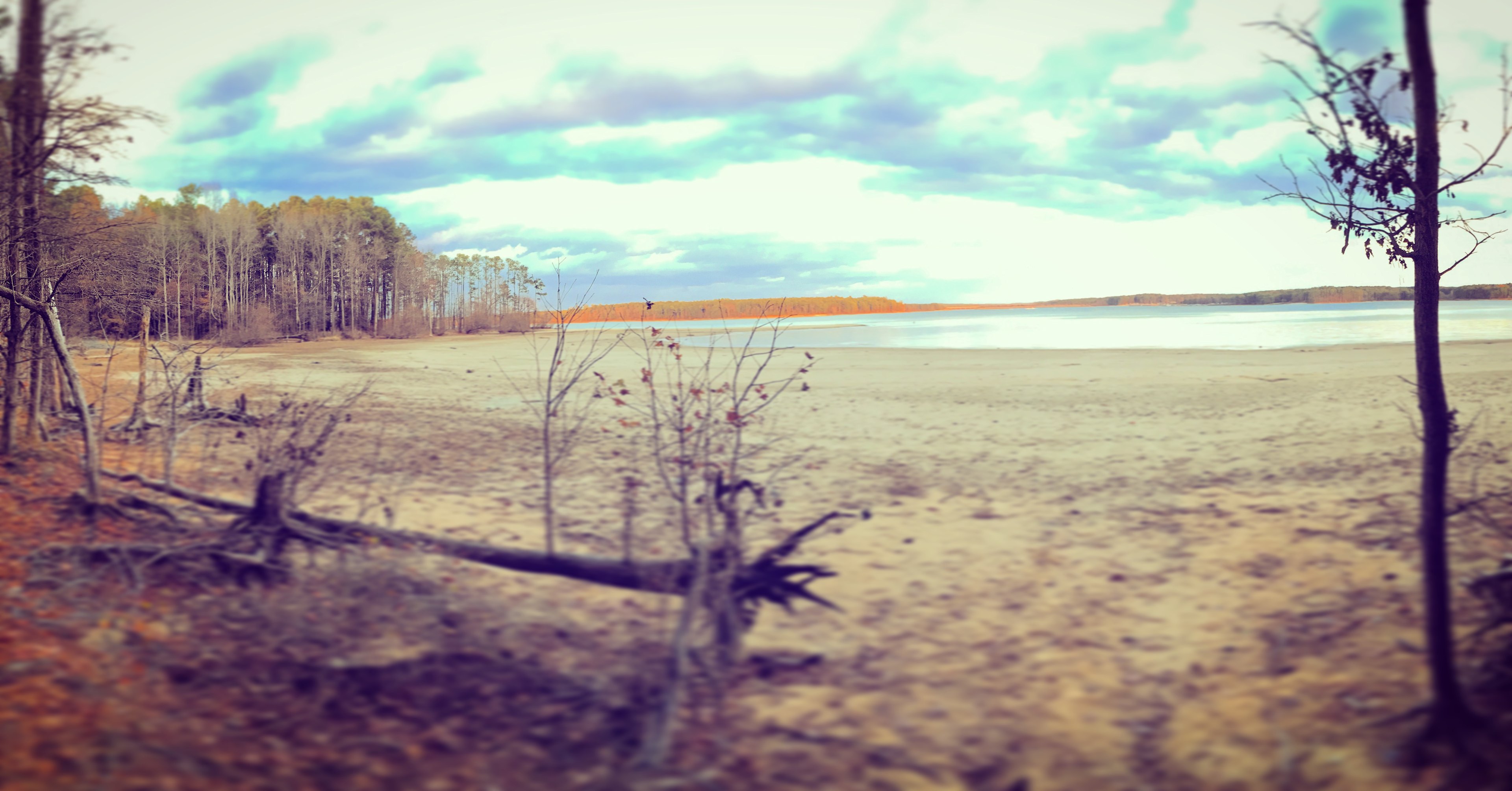 Jordan Lake State Recreation Area