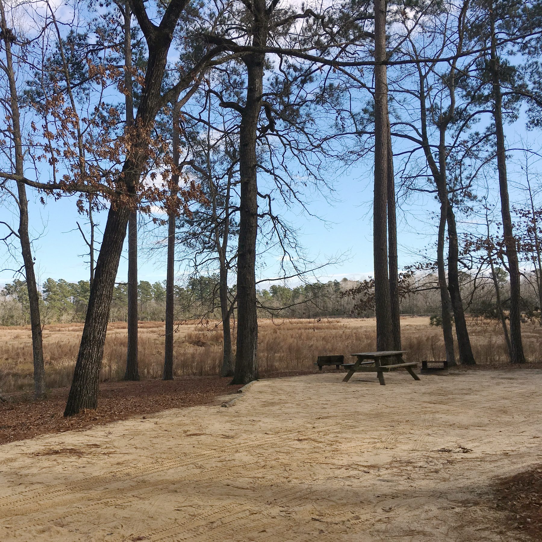 Little Pee Dee State Park