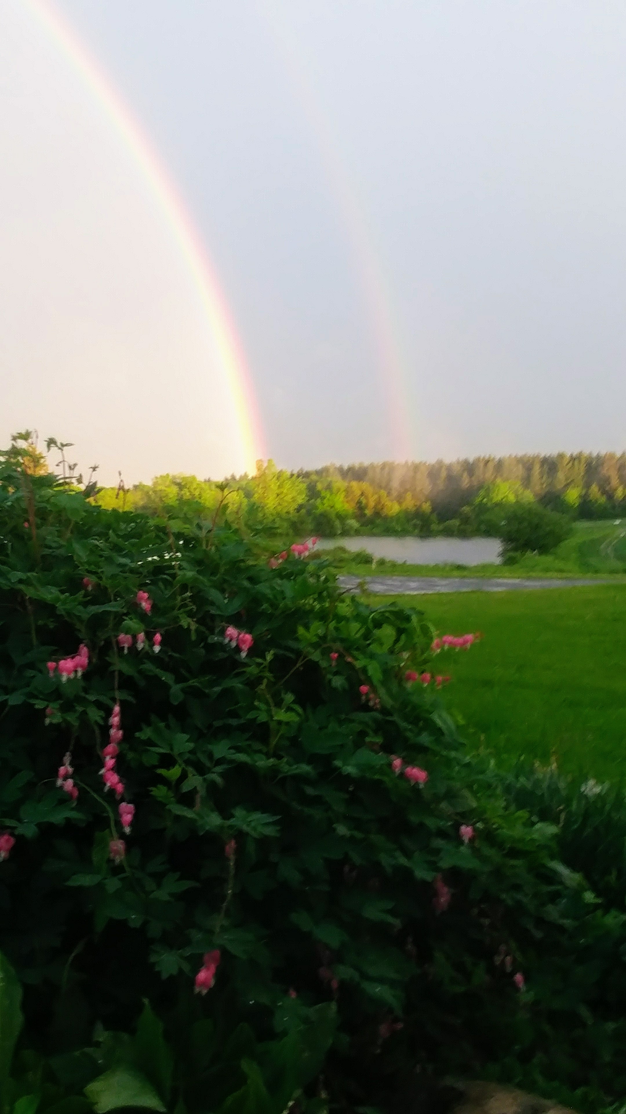 View of 5 acre pond from main house