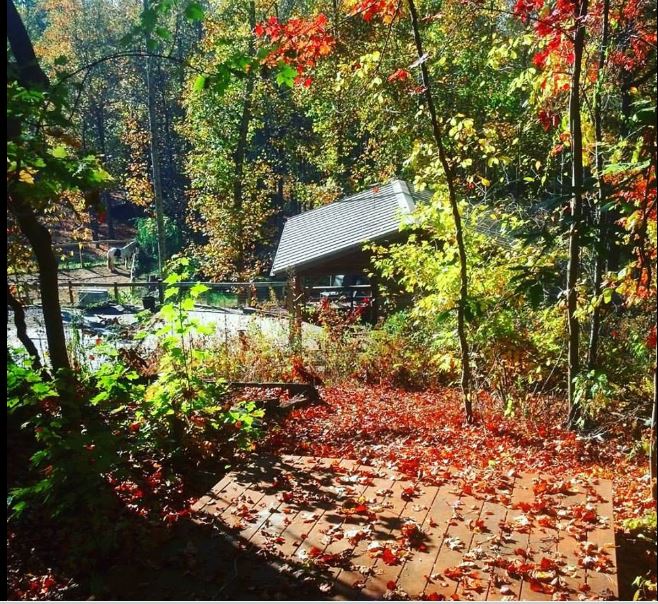 One of my favorite spots above the barn.