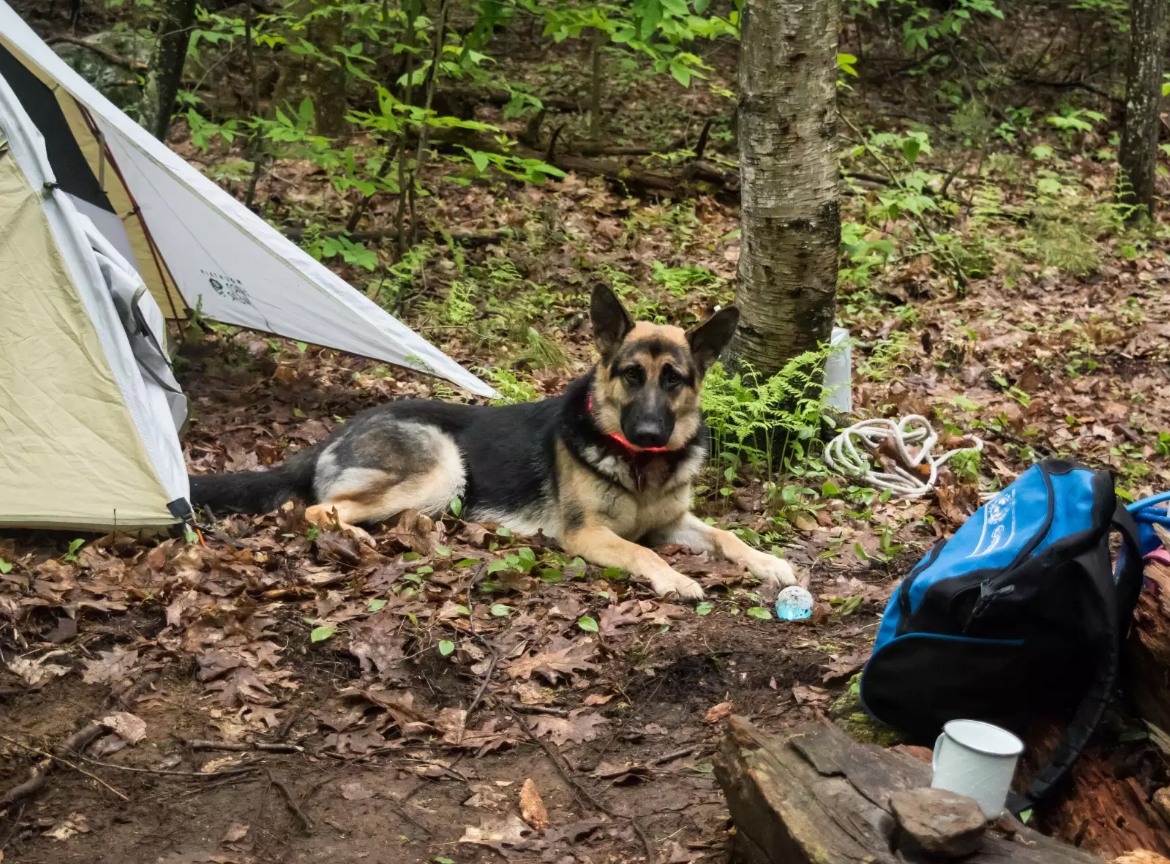 Take some time to relax after setting up camp. Photo by Tara Schatz.