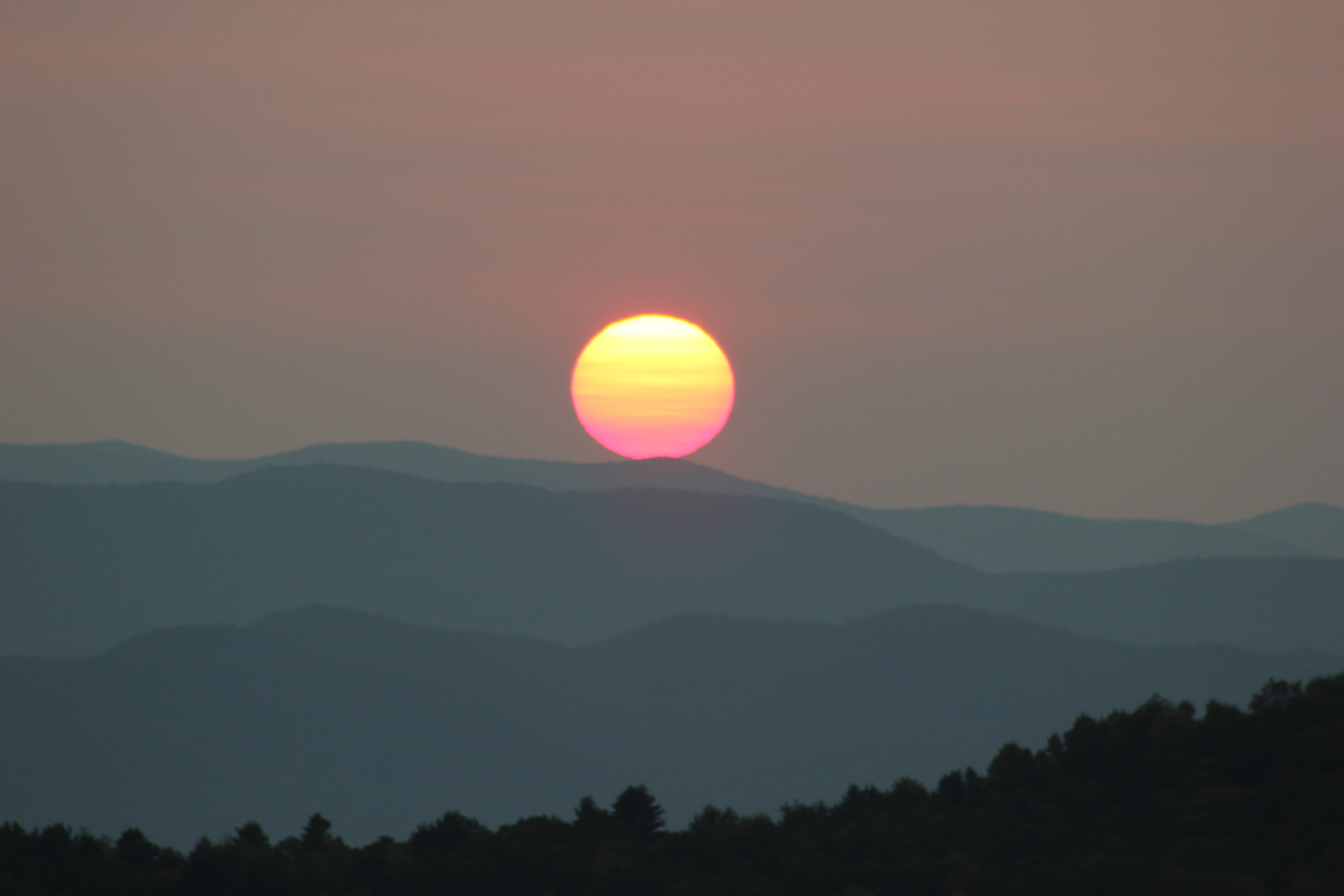 Teton National Forest
