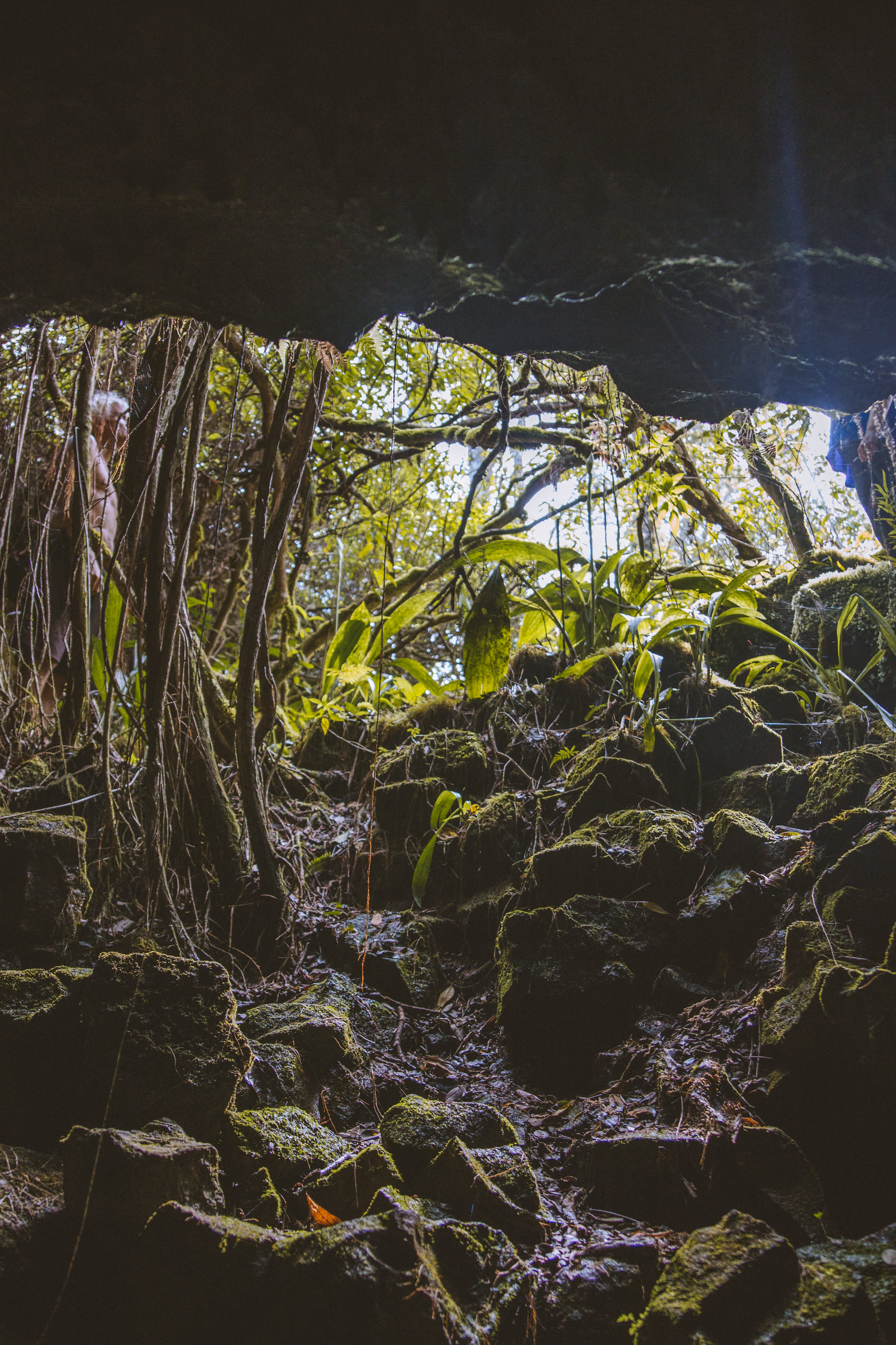 George has a lava tube running through his property, this is from the inside looking out. You can hike through the tube during your stay