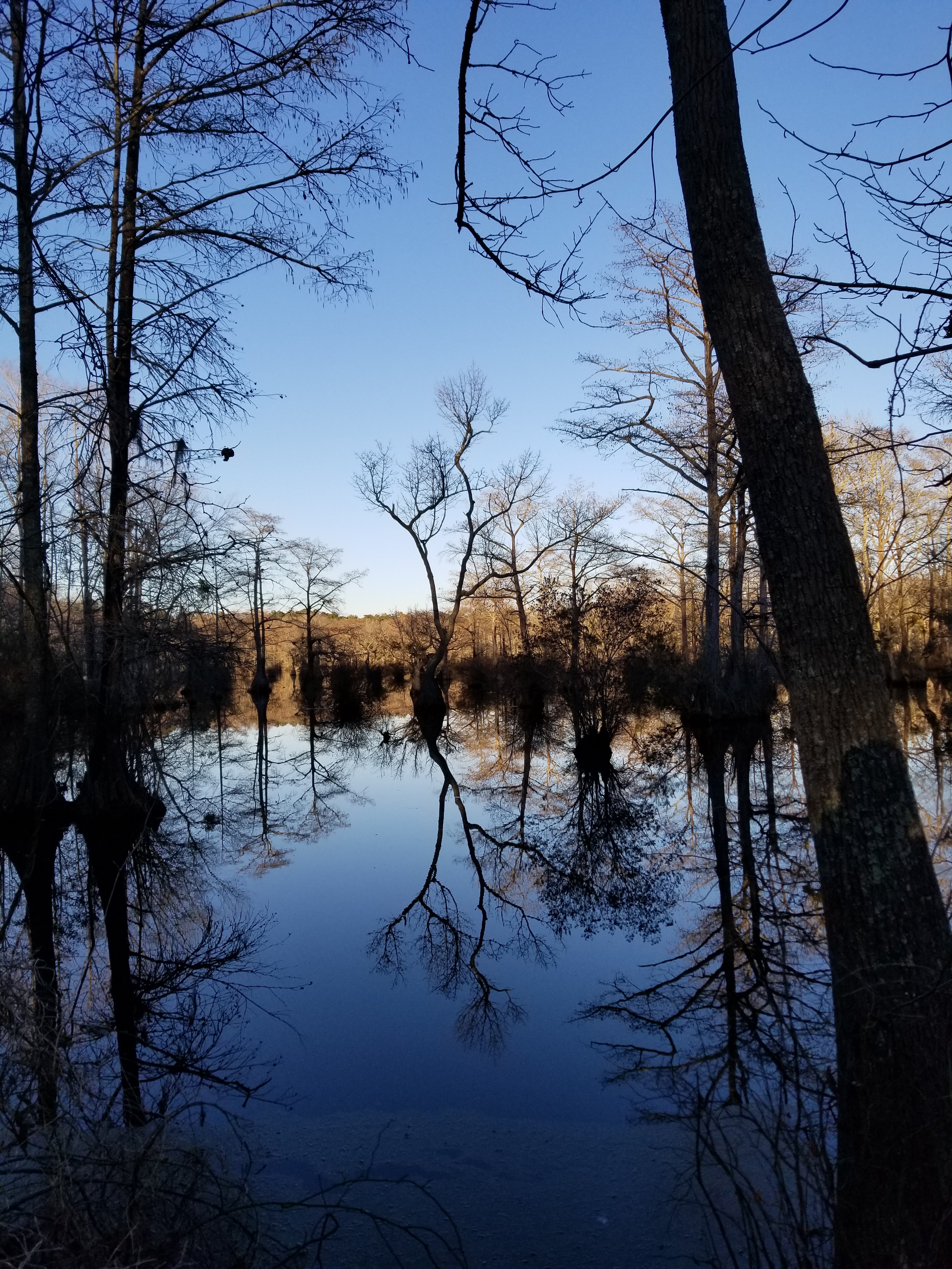 Merchants Millpond State Park