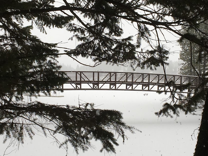 Bridge spanning part of Winchester Lake.