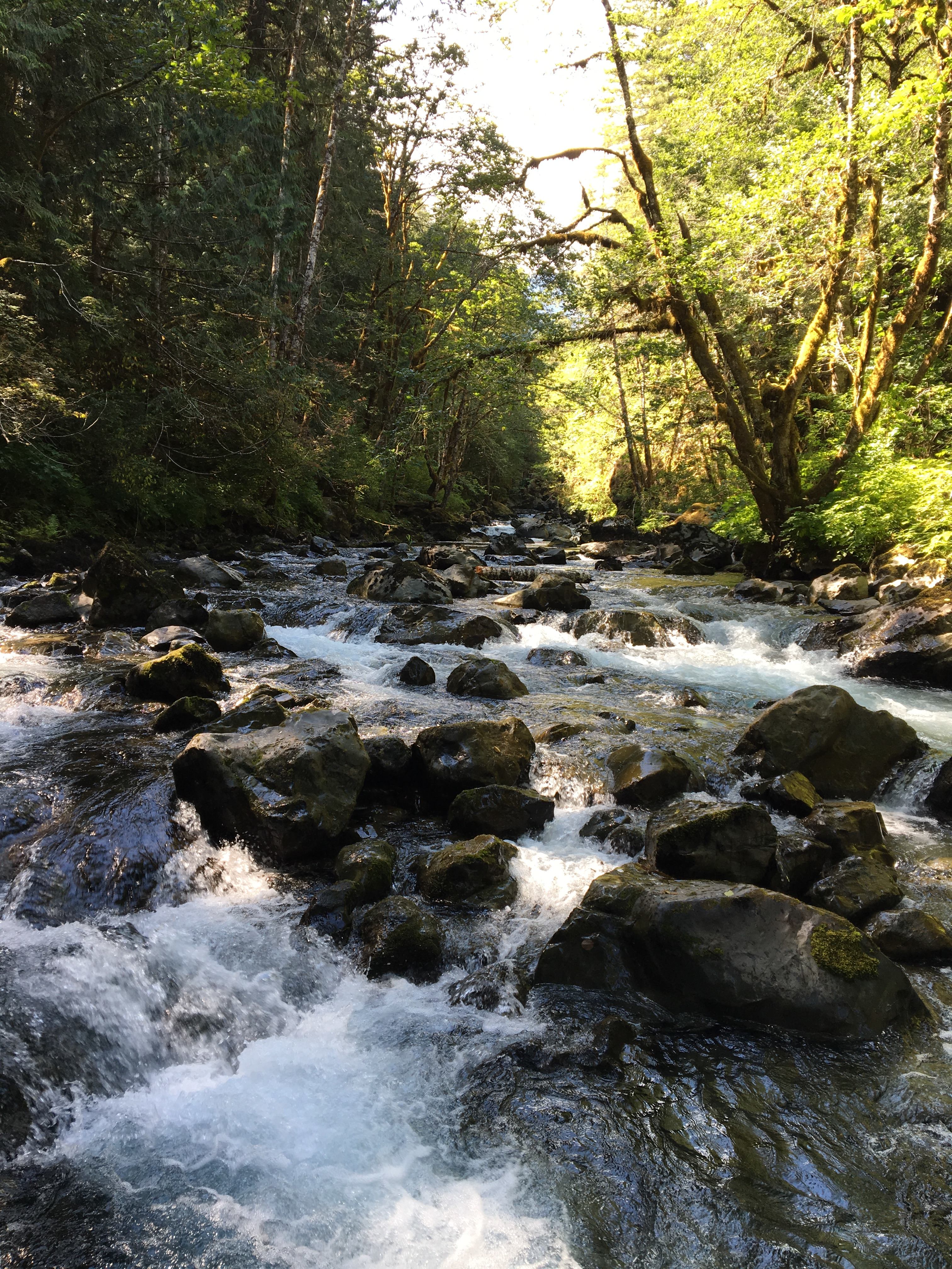 Seal Rock Campground