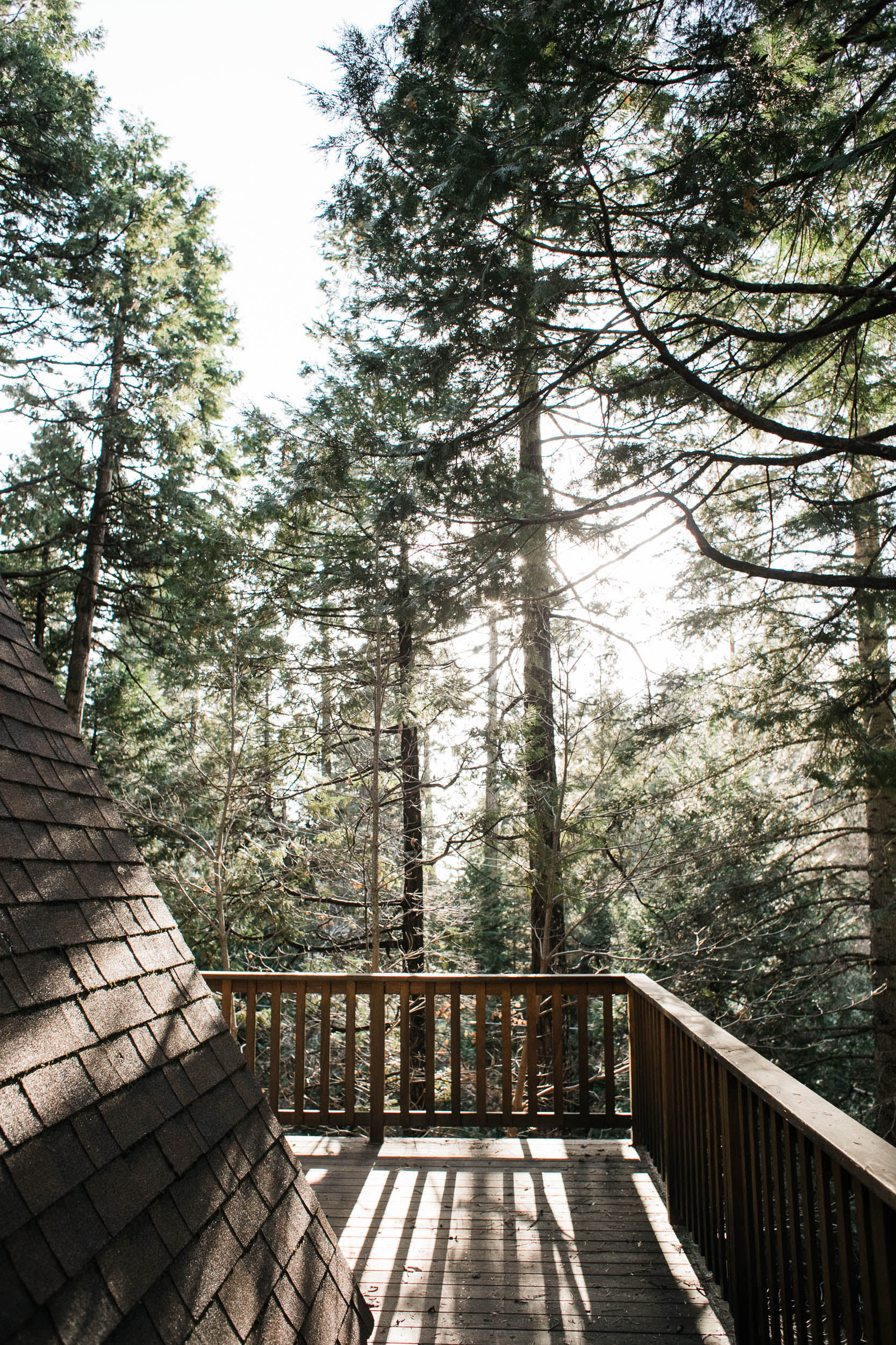 view from the front/ kitchen door