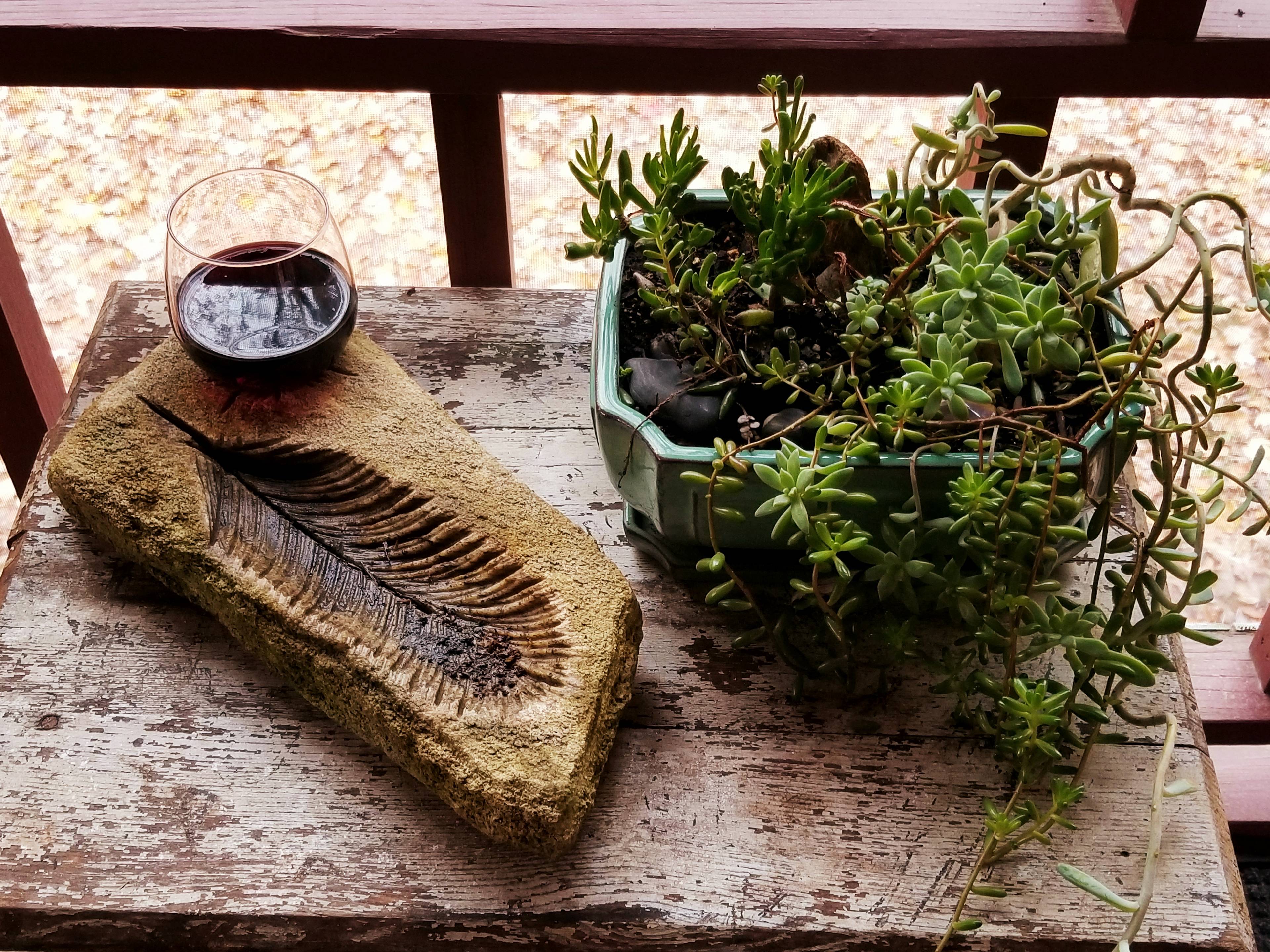 Sacred Roots Cottage