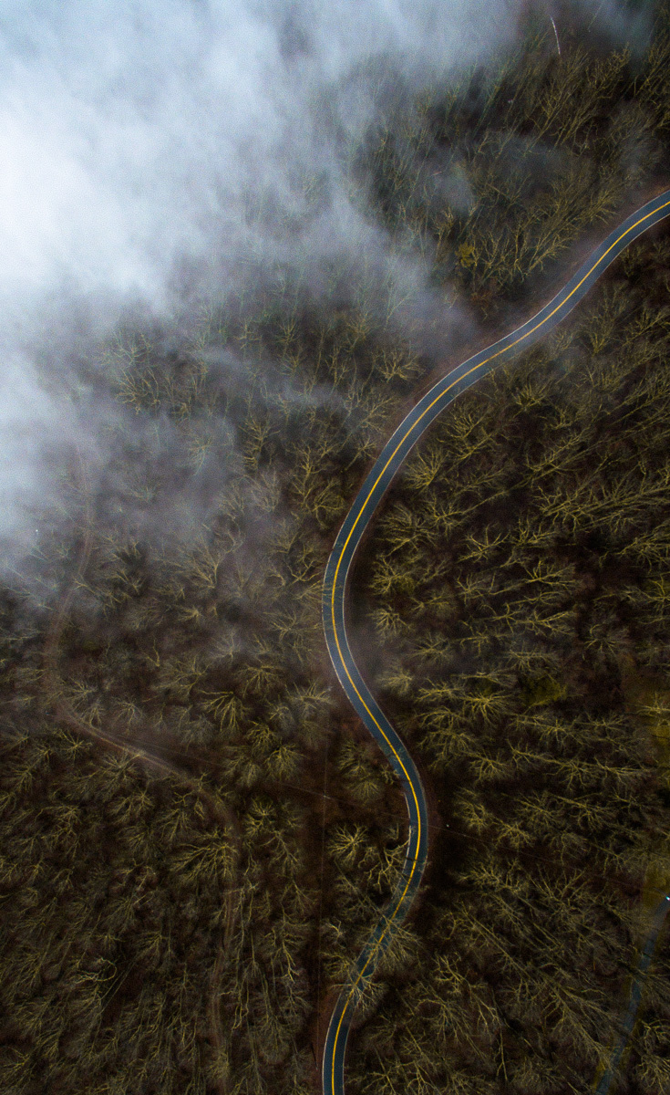Foggy North Carolina mornings. 