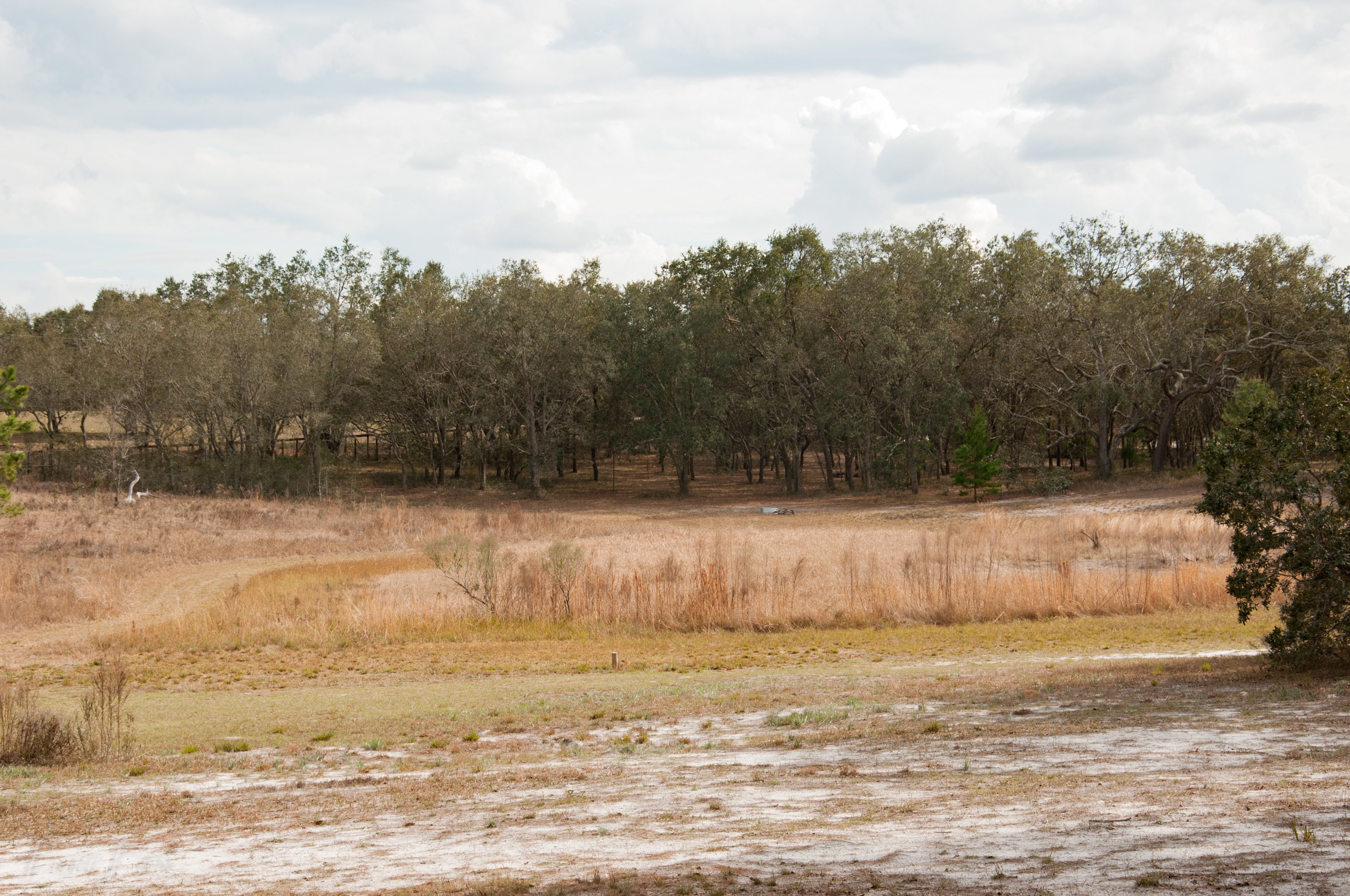 Community of Consciousness