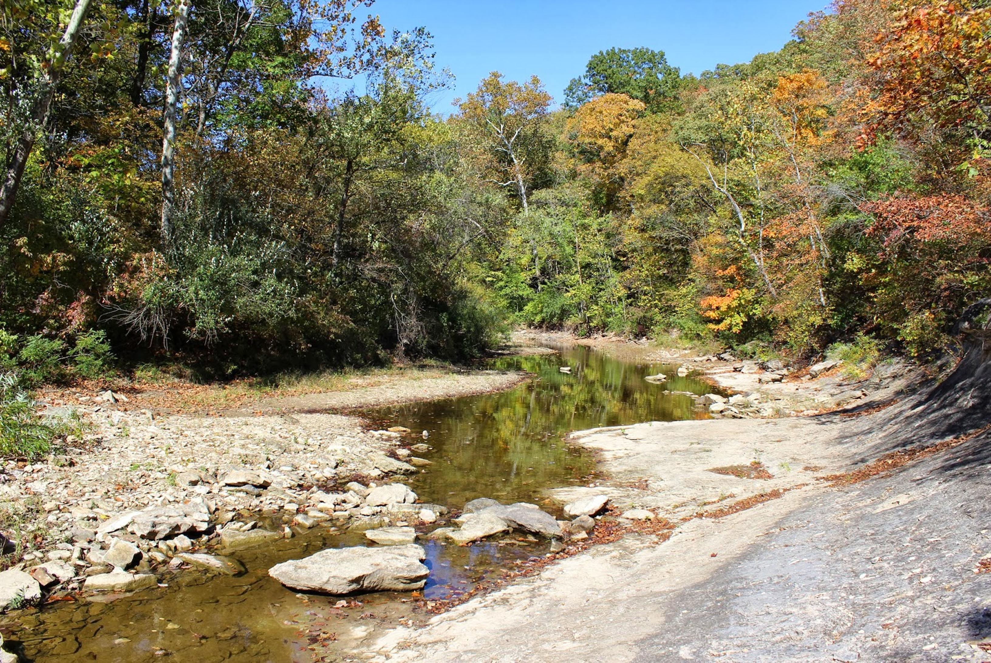 Silver Fork Creek that runs in front of the Pinnacles and through the back corner of our property.