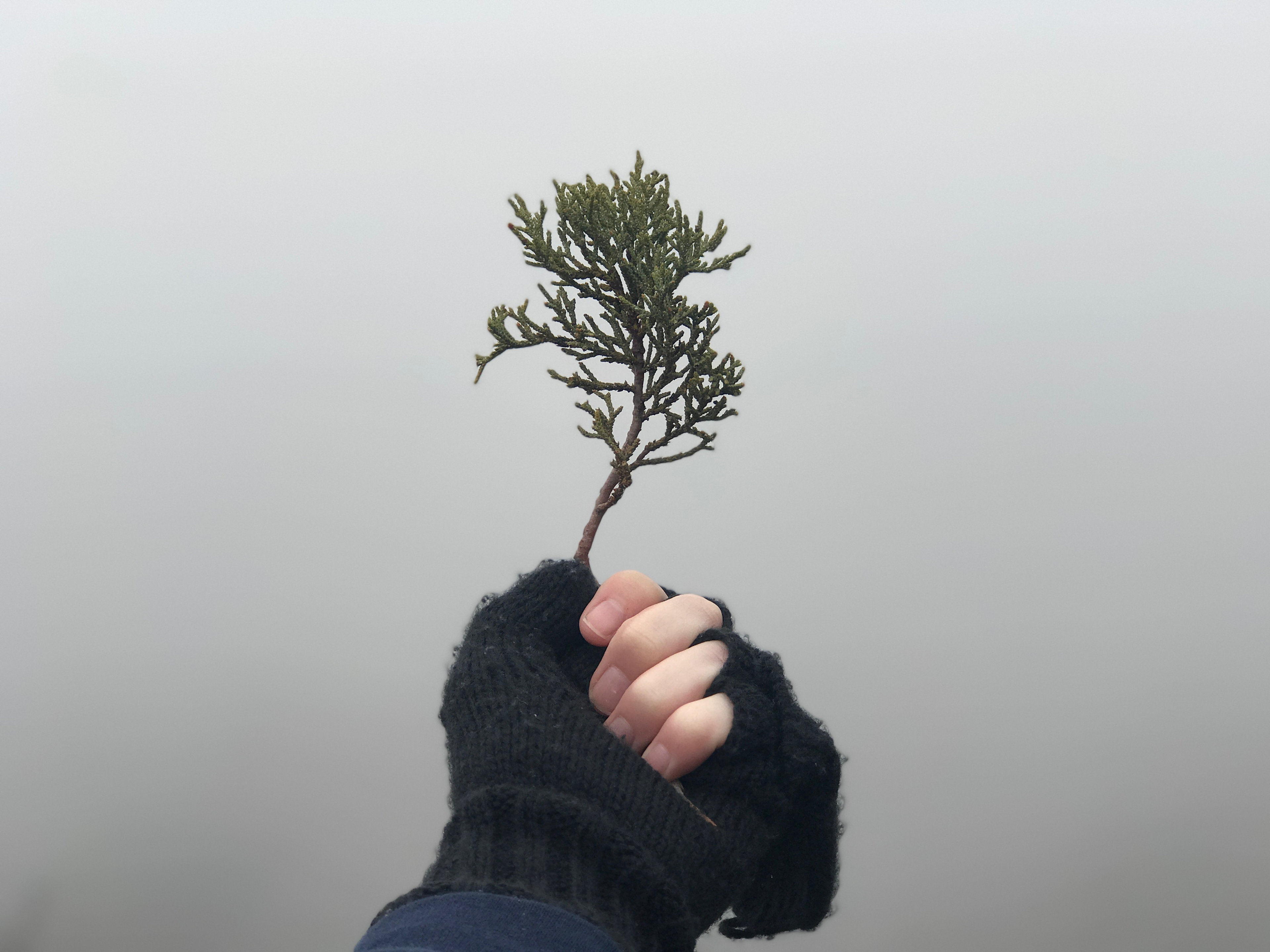 Chiricahua National Monument