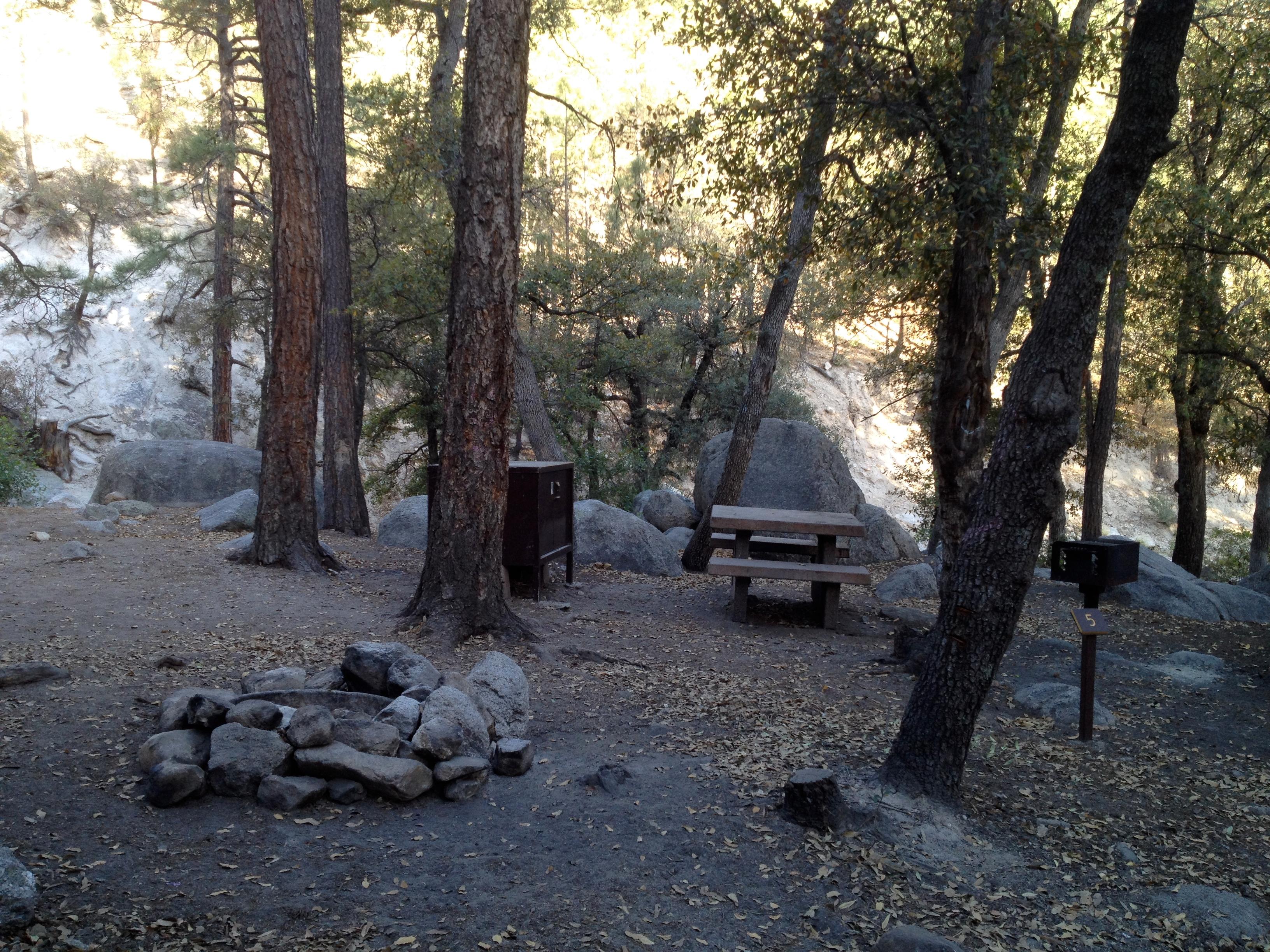 Campsite in the trees