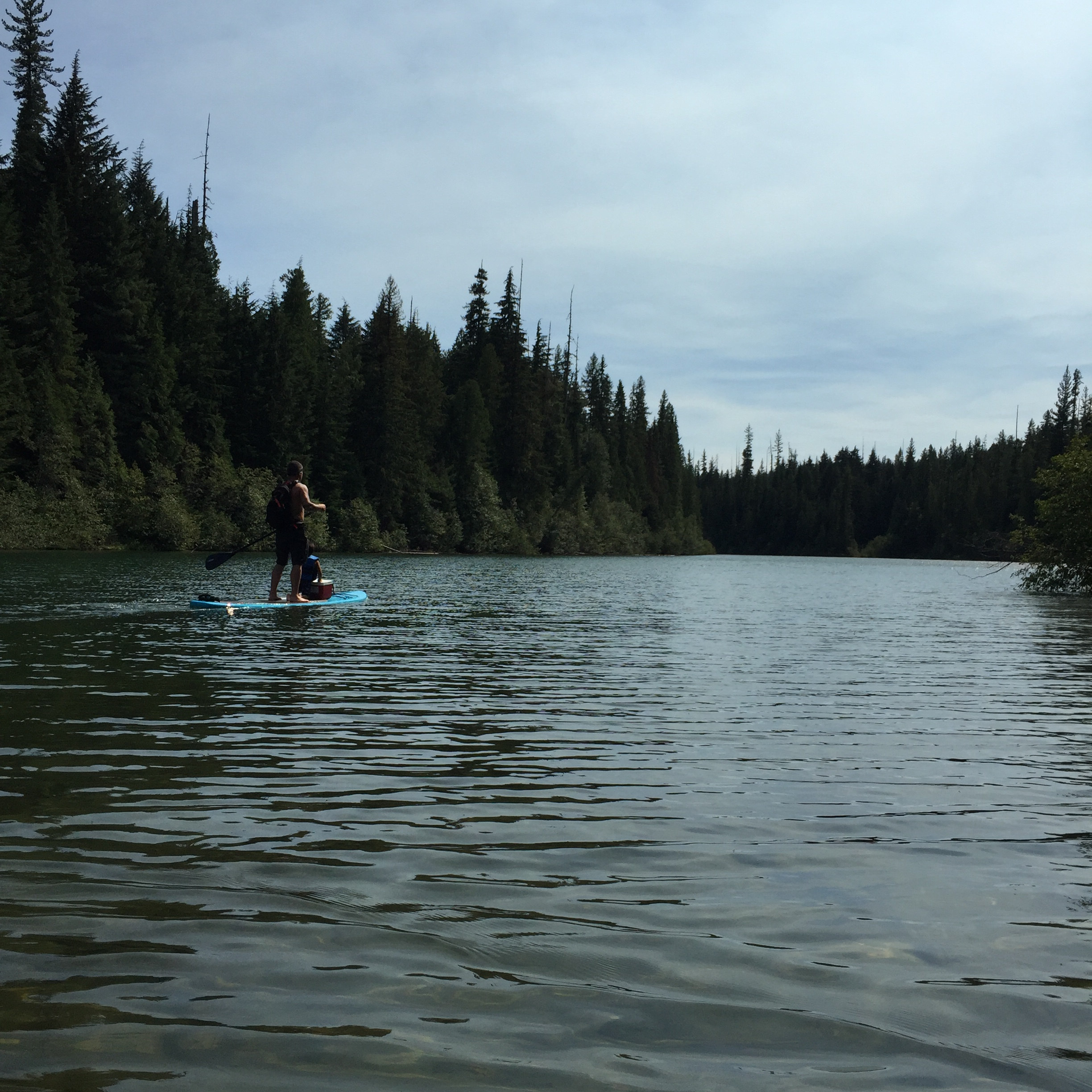 Up the thorofare to upper priest lake. No wake zone