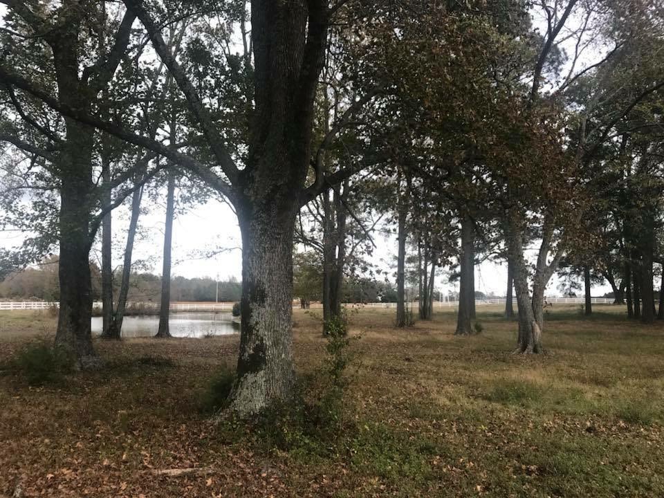 Horse Ranch-a short drive from 95