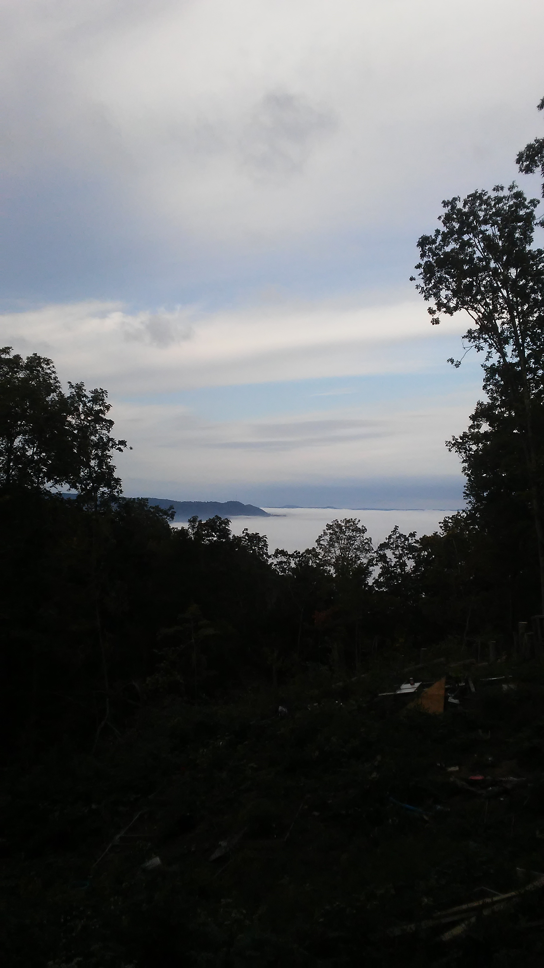 Sunrise fog bank down the mountain