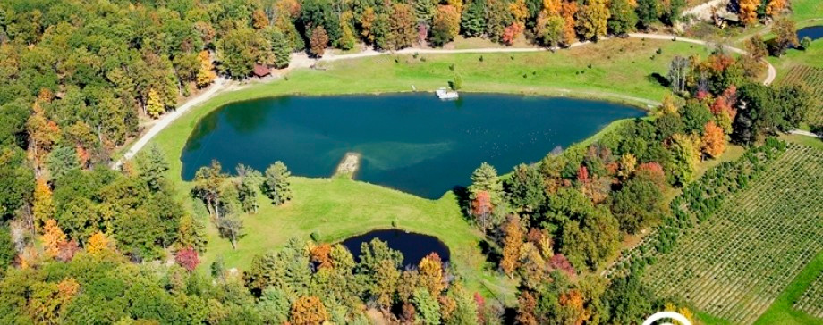A top-down view from a plane!