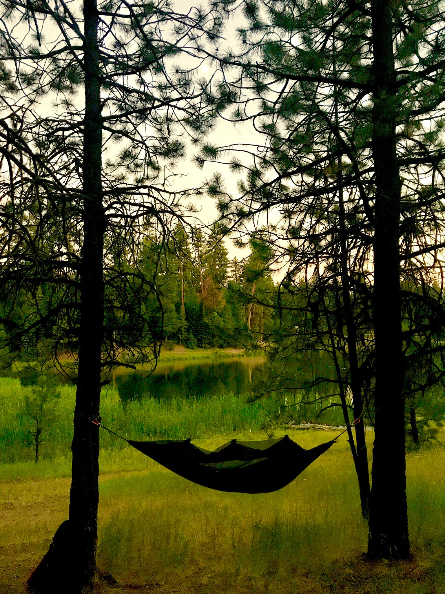 Ochoco National Forest