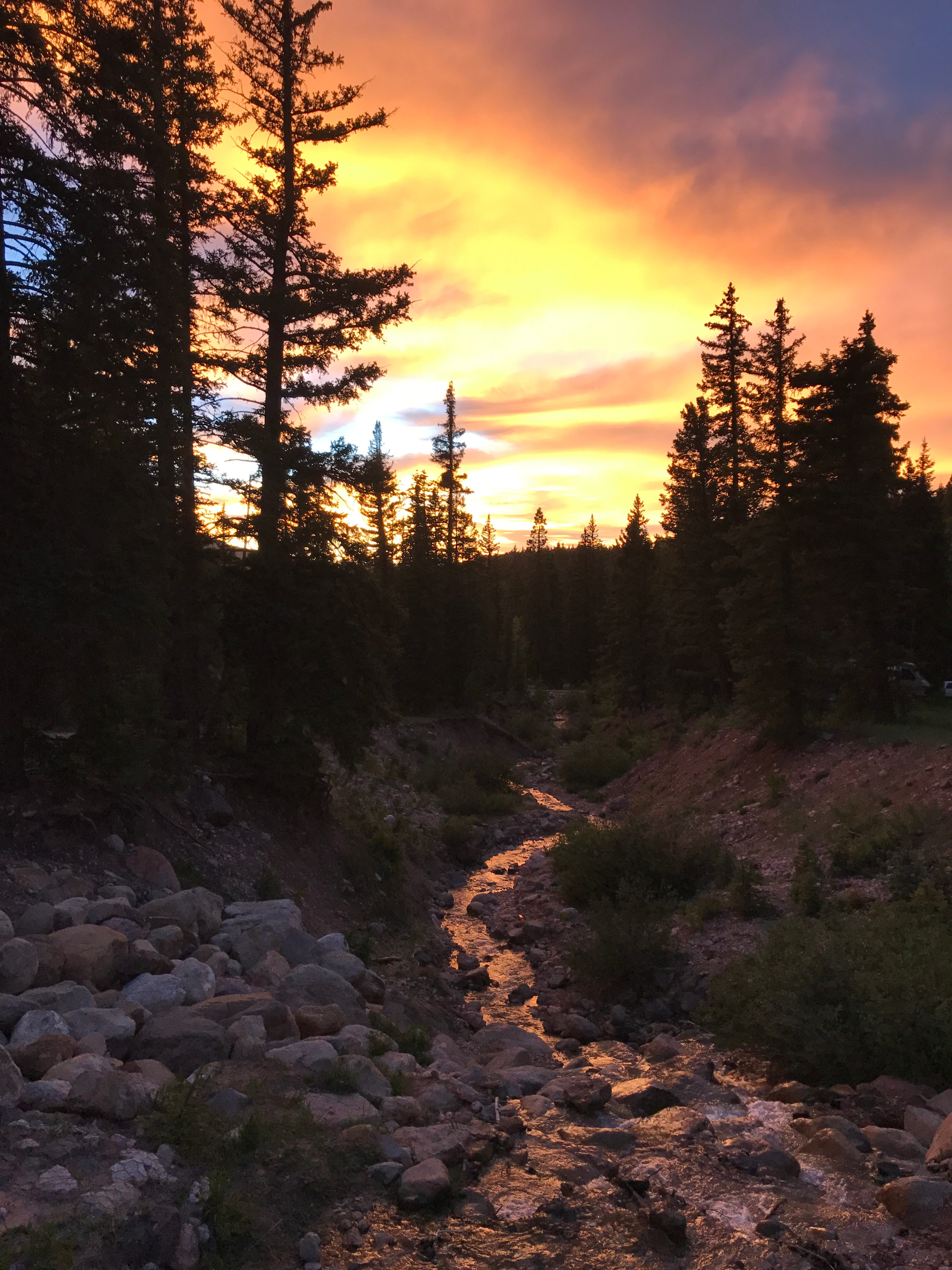 Lava Flat Designated Dispersed Camping Area