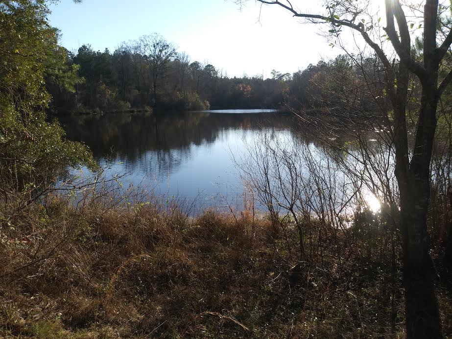 Murchison Farm's Primitive Camping