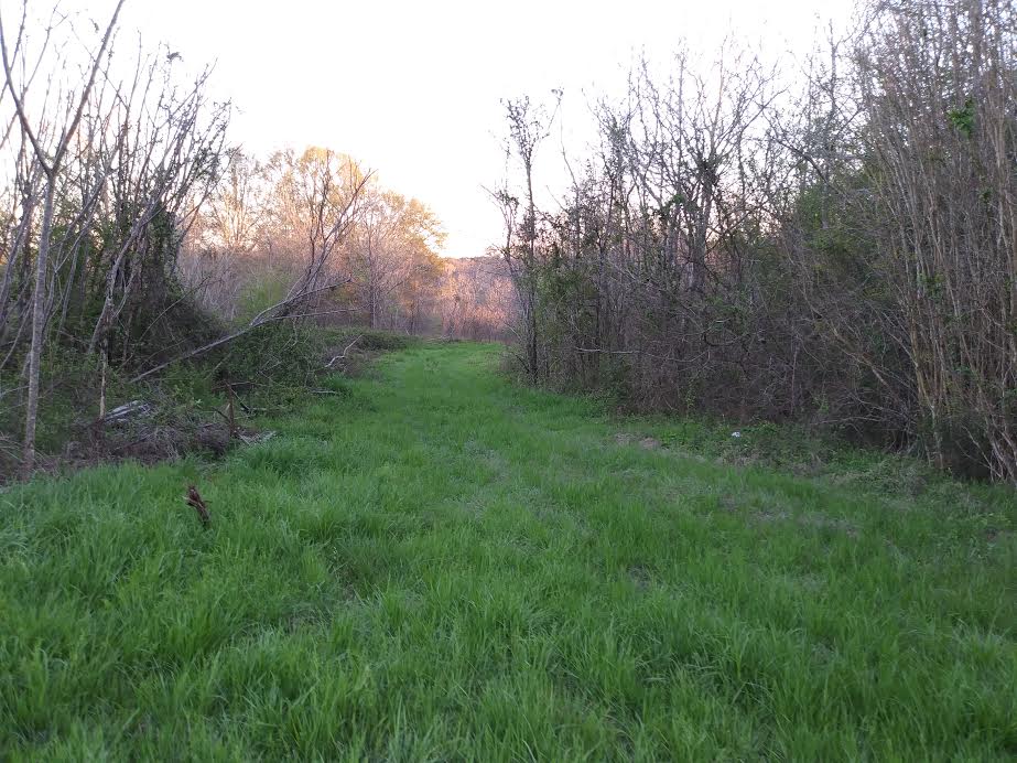 Murchison Farm's Primitive Camping