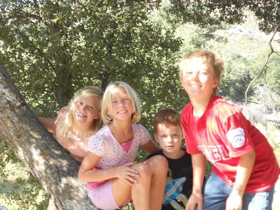 Kids playing in one of the campground trees near campsite
