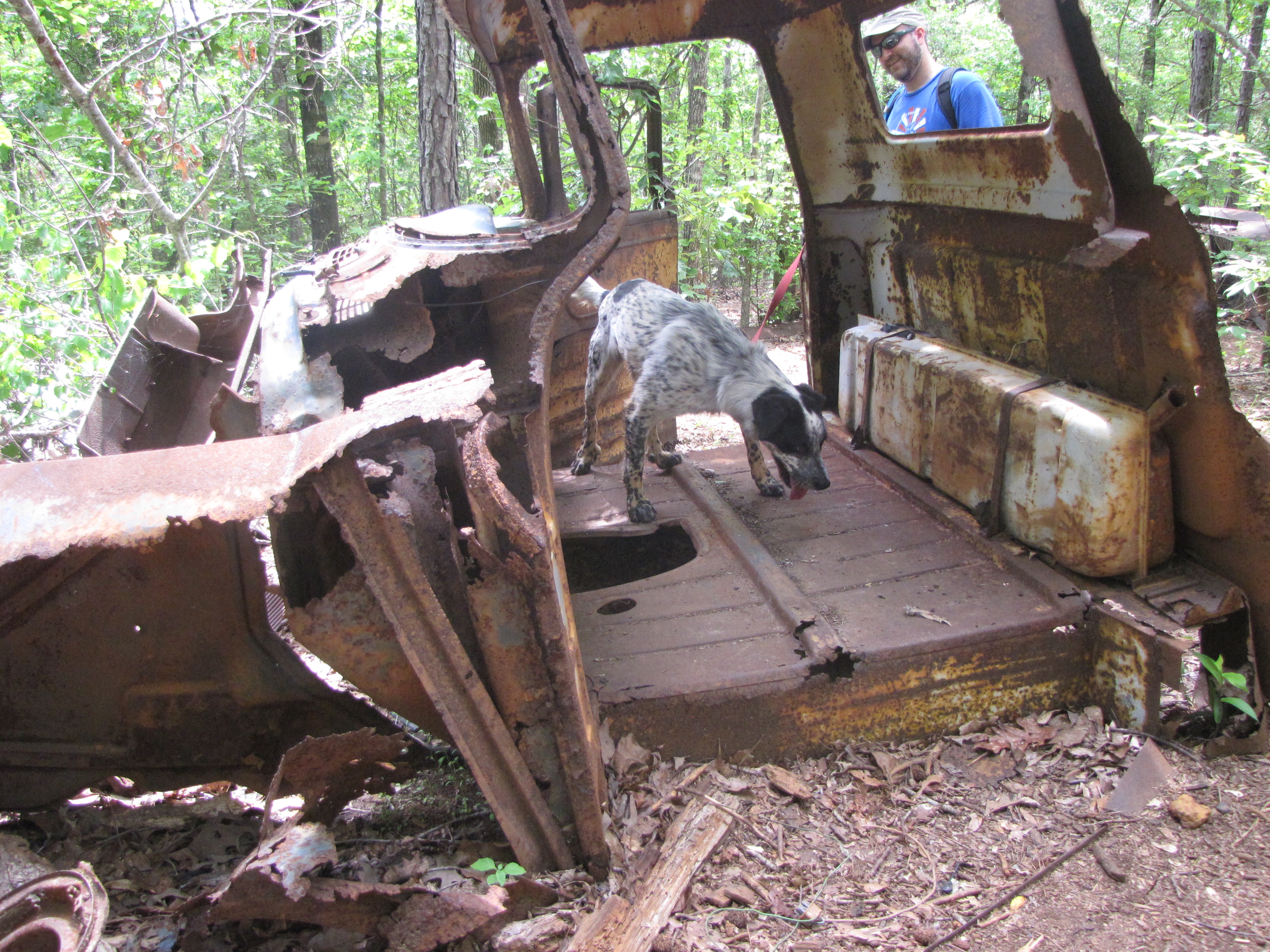 old 50's cars, like the Walking Dead meets CARS