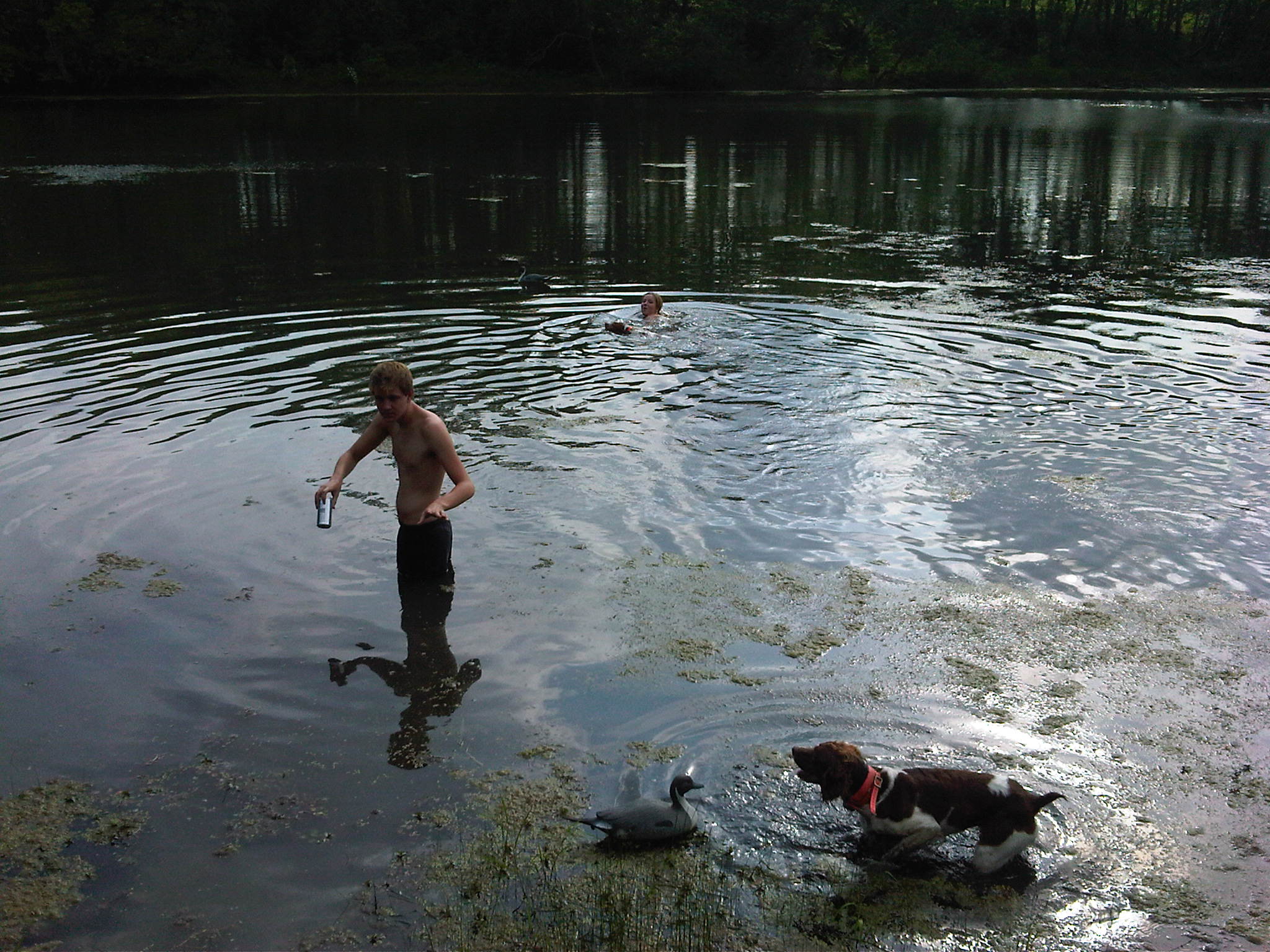 Perdue Homestead Farm-CLOSED