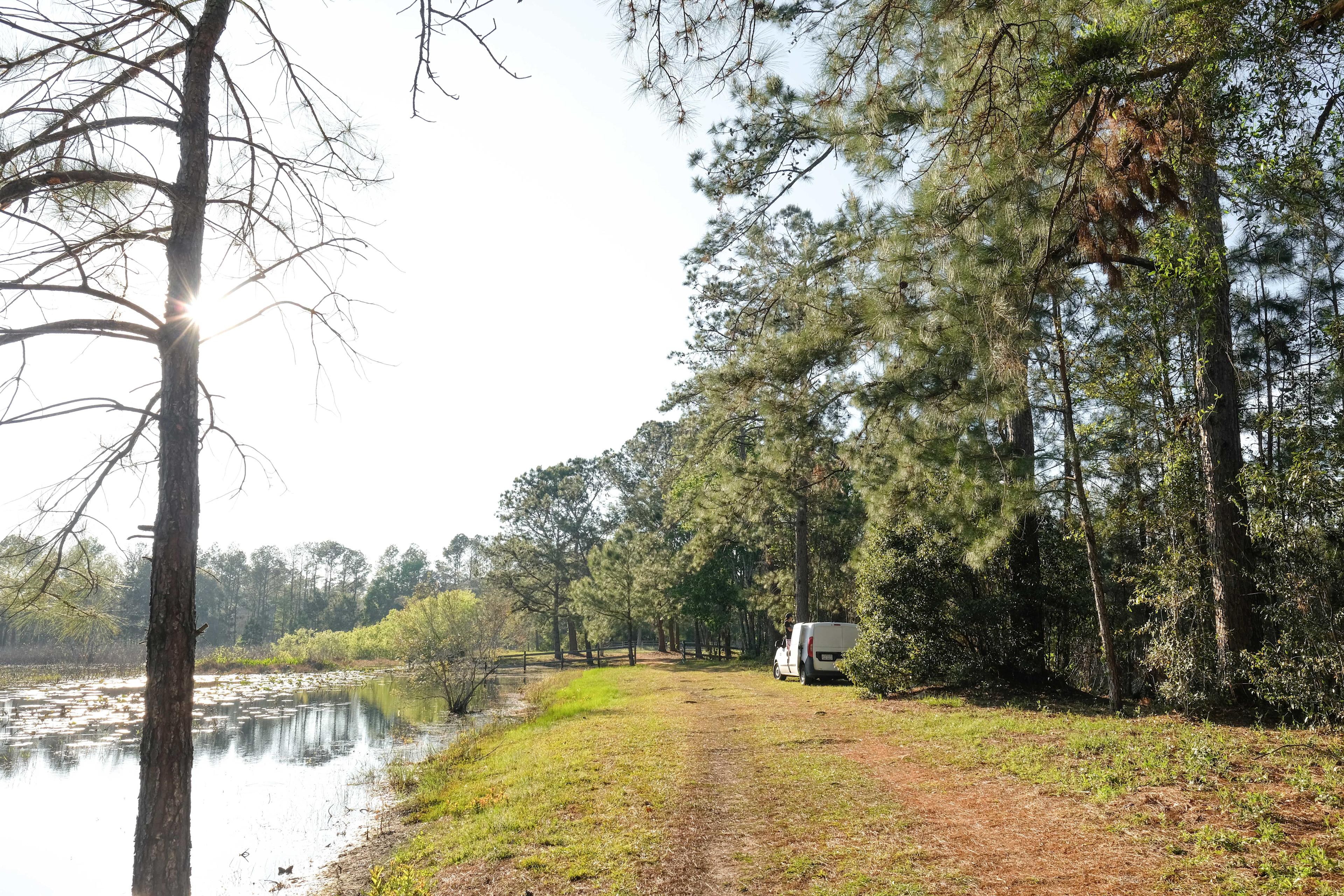 There were many places on the property great for car or tent camping!