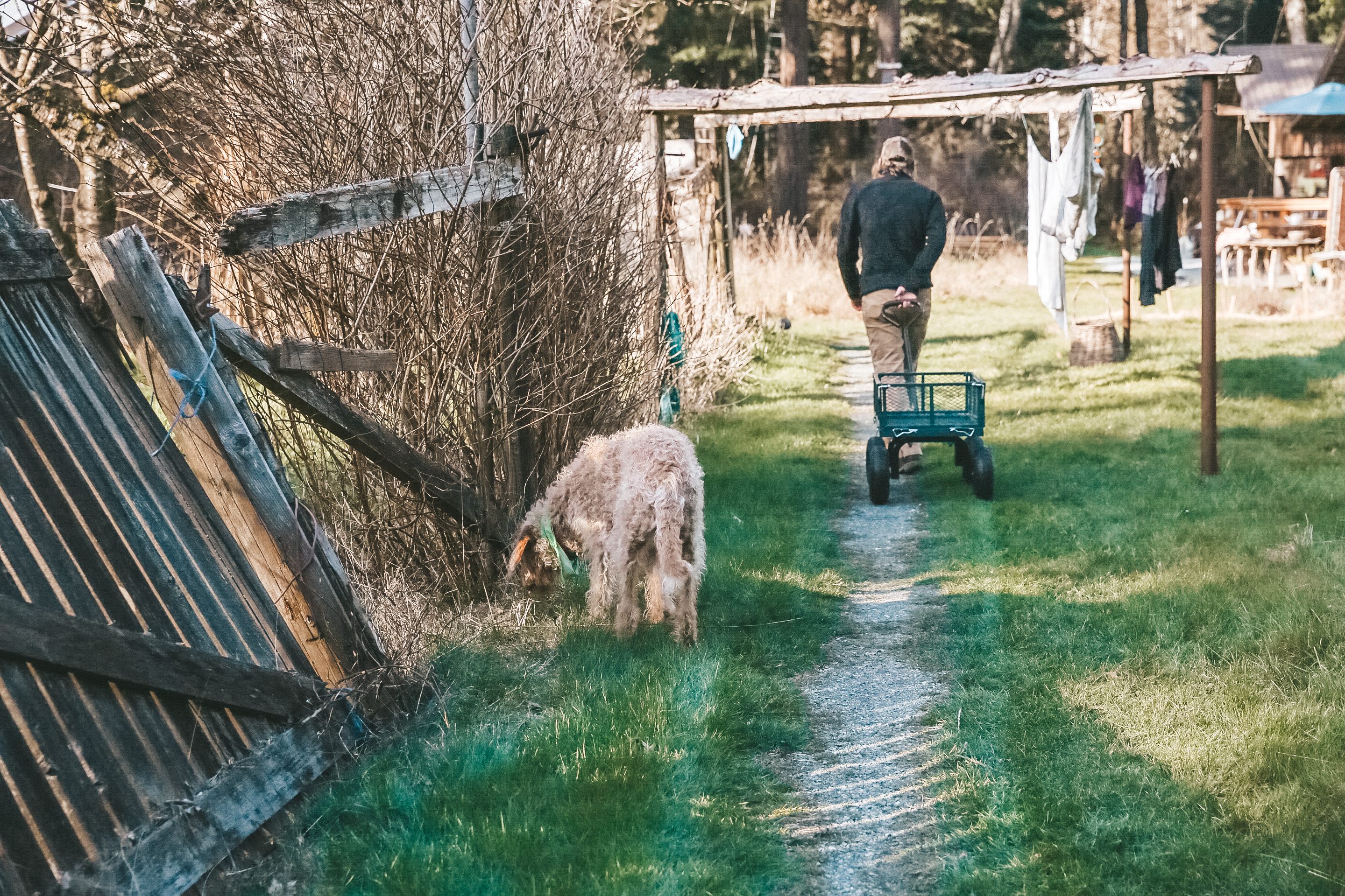 Guemes North Homestead