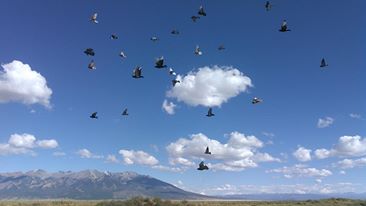 Rabbit Hole Ranch