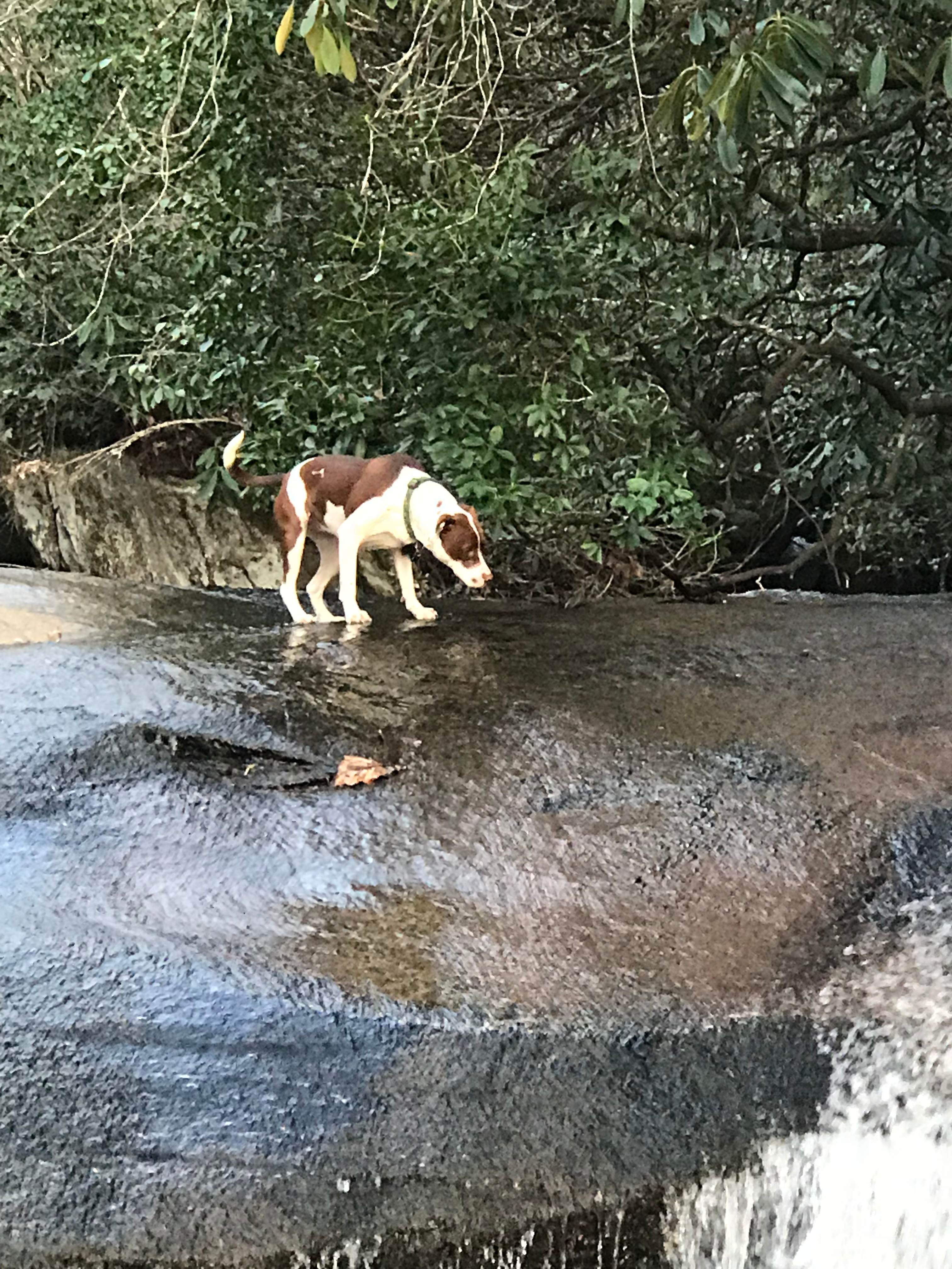 Secluded Waterfall Haven