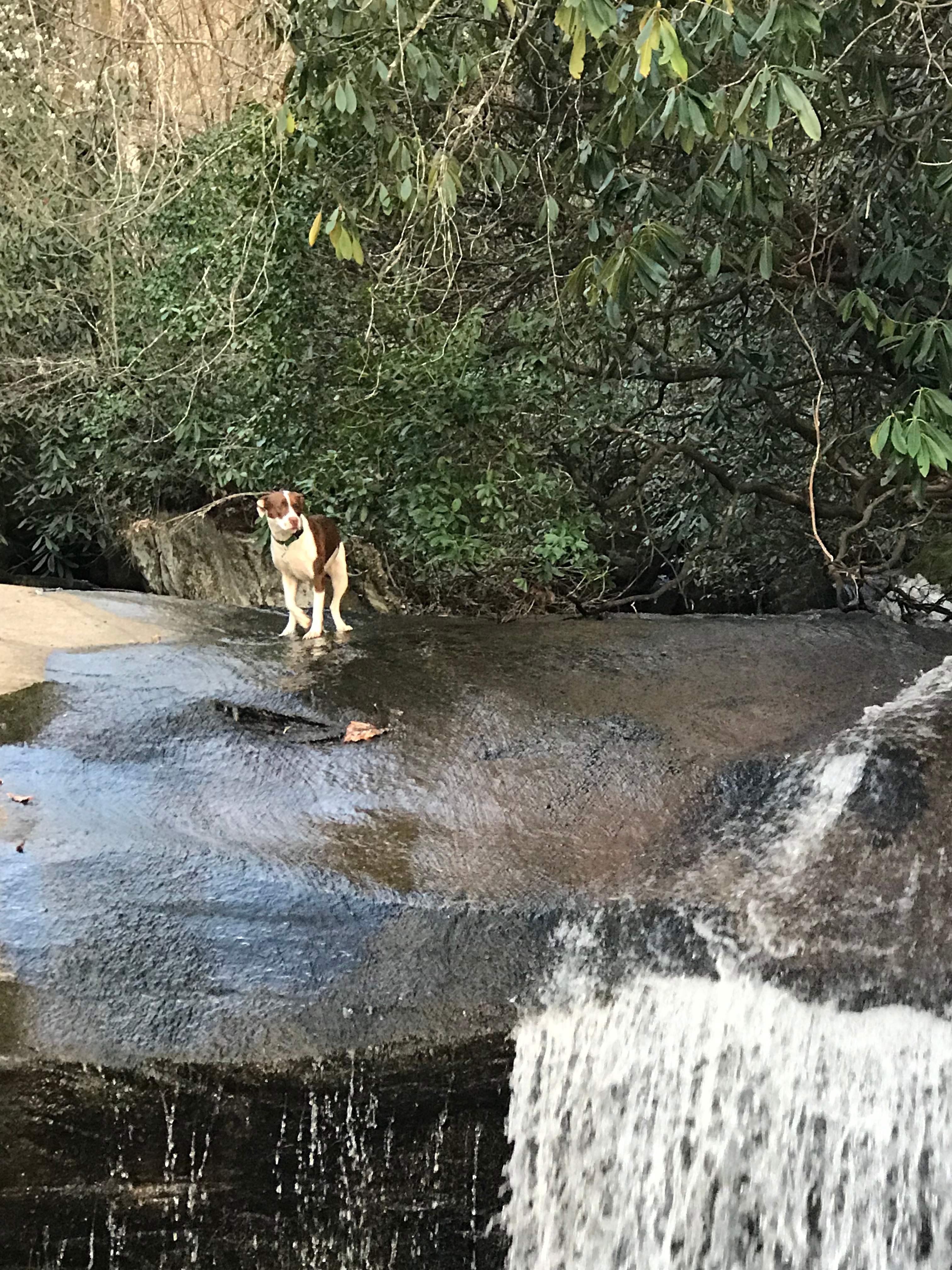 Secluded Waterfall Haven