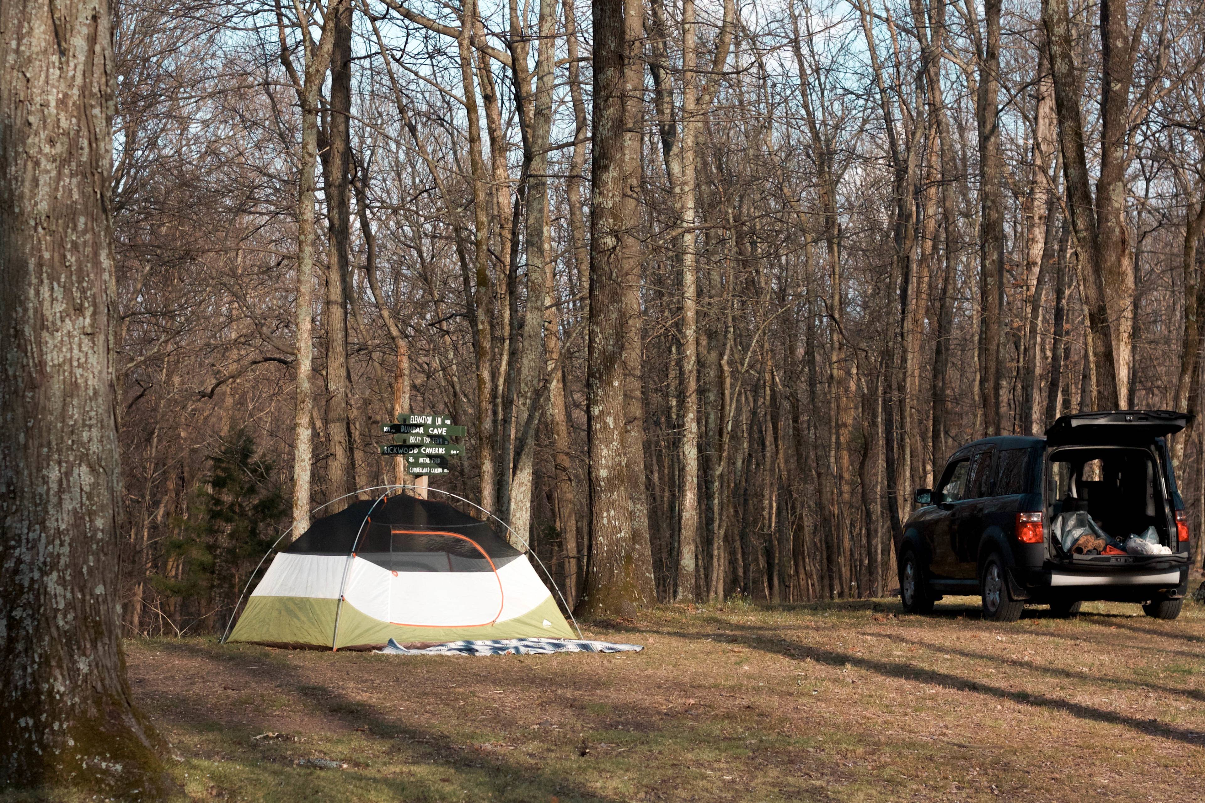 Plenty of space to set up camp and park