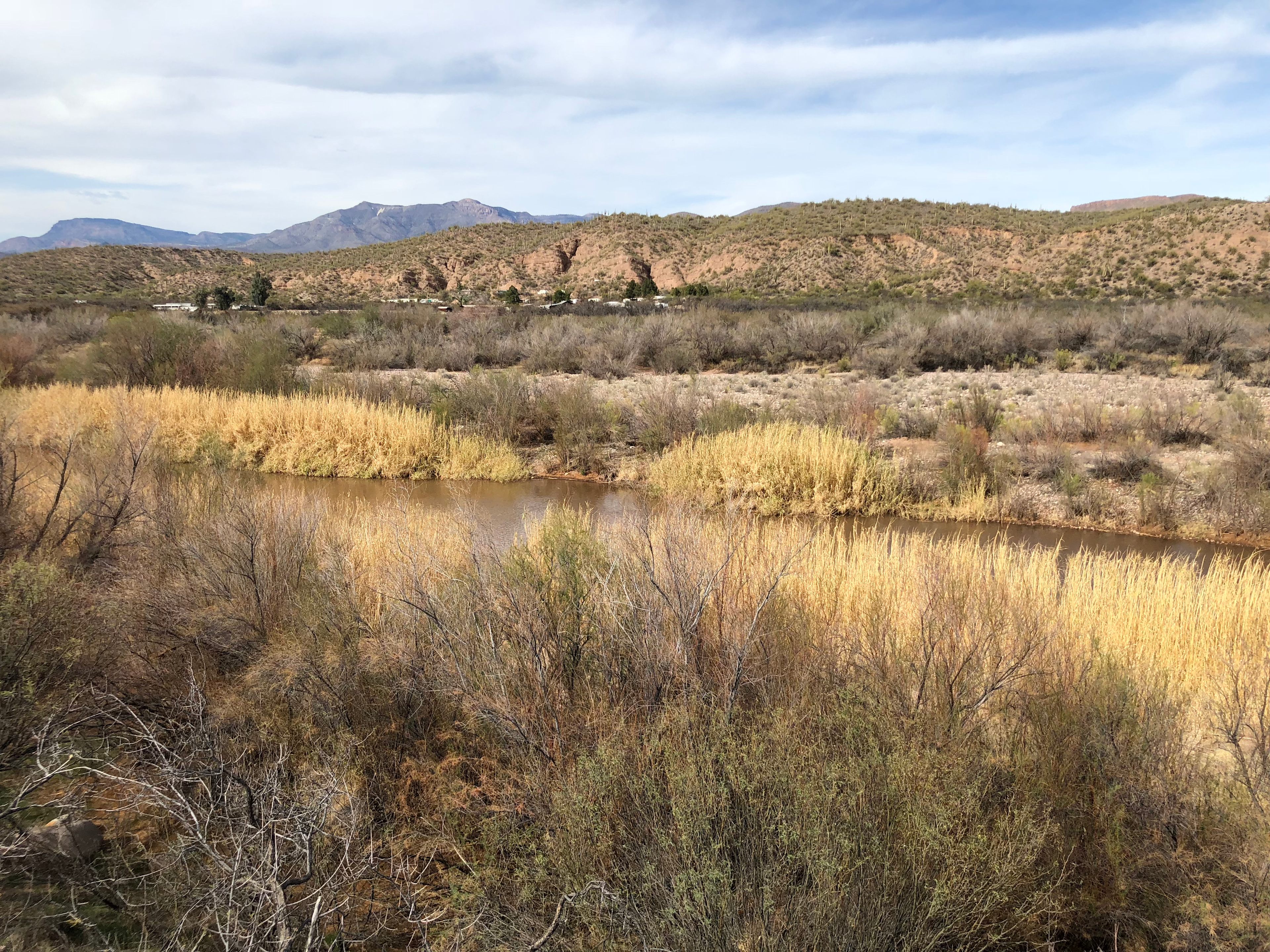 Tonto National Forest