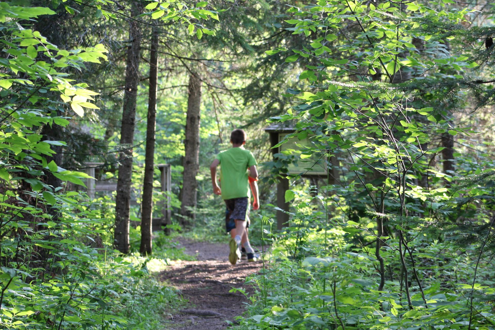 Nice established trails. 