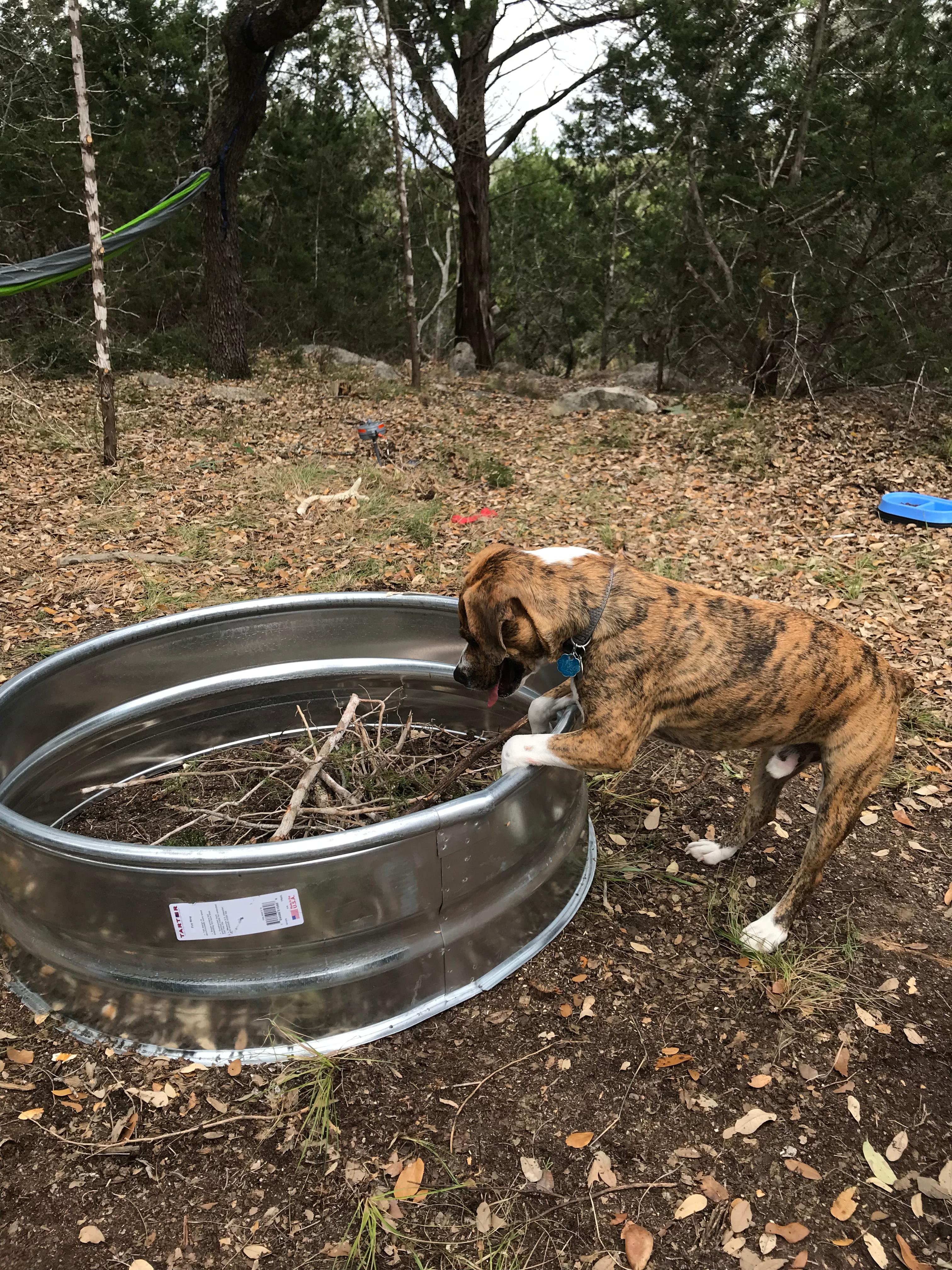 Camping Near Hamilton Pool