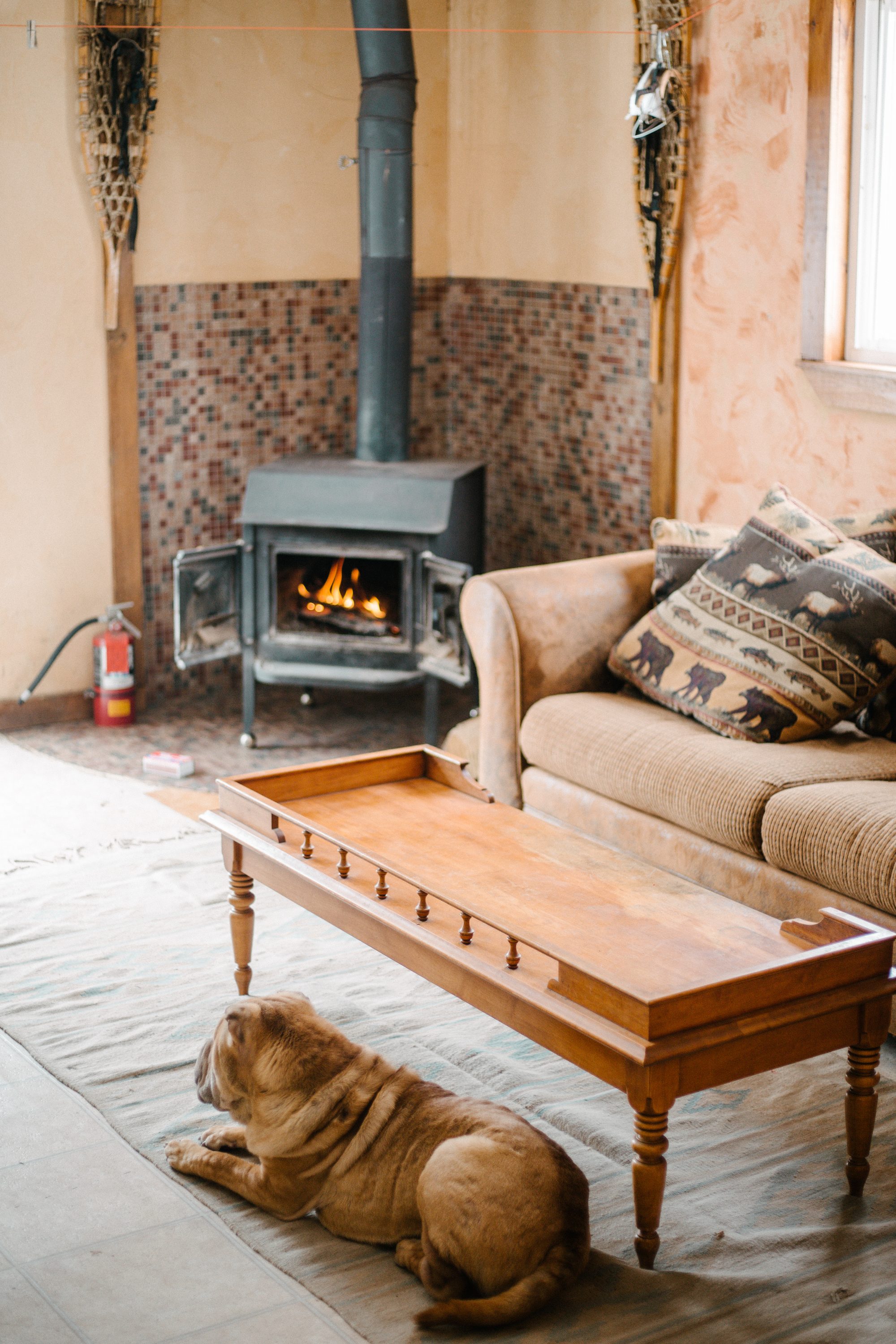 The cabin is pet friendly and comes stocked with firewood to keep you and your furry friends warm and cozy!