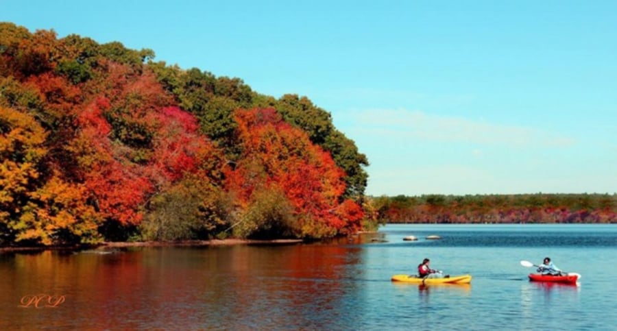 Watchaug Pond  is great for swimming, fishing, kayaking, and boating.