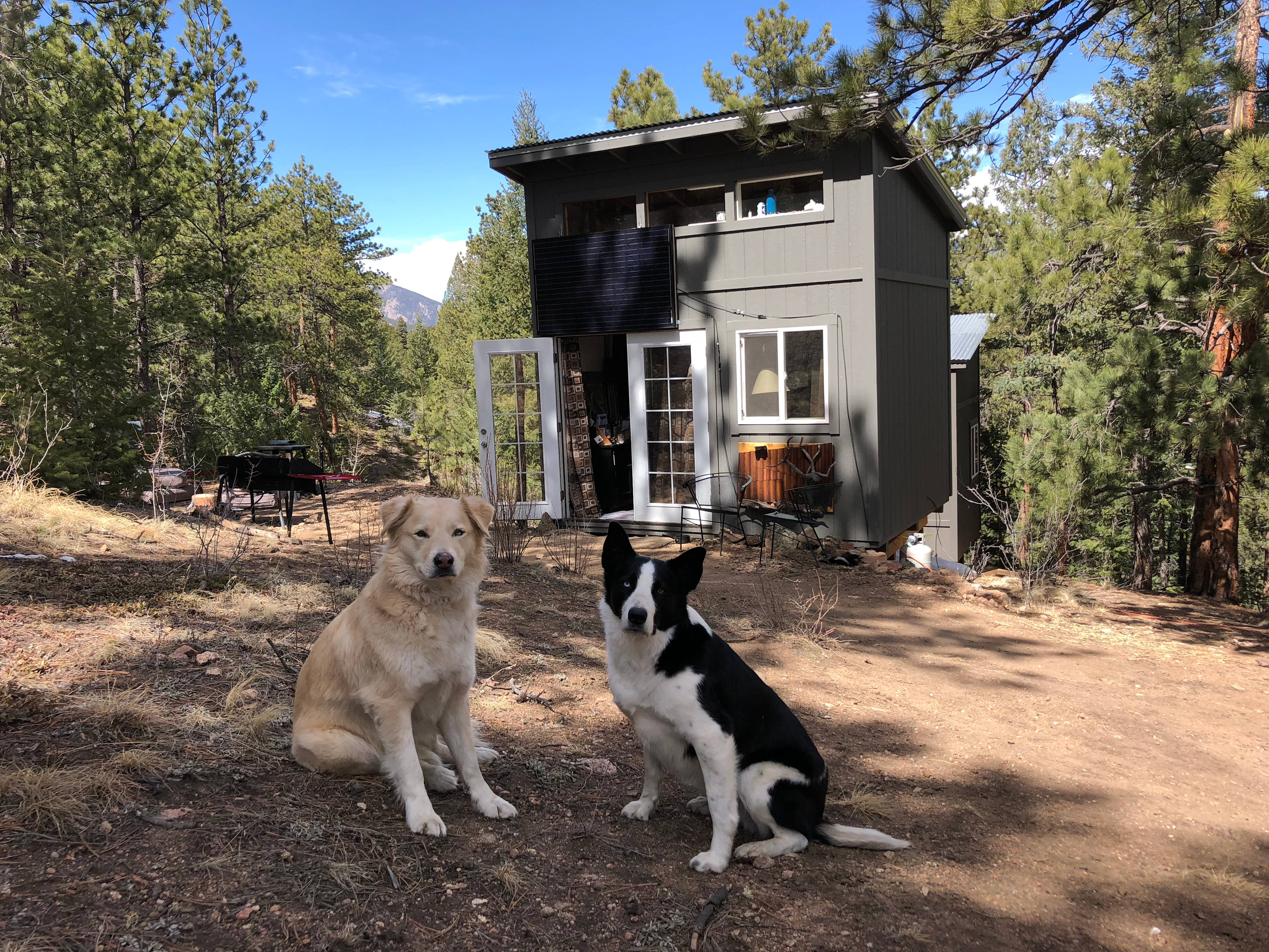 Rustic Glamorous Artist's Cabin